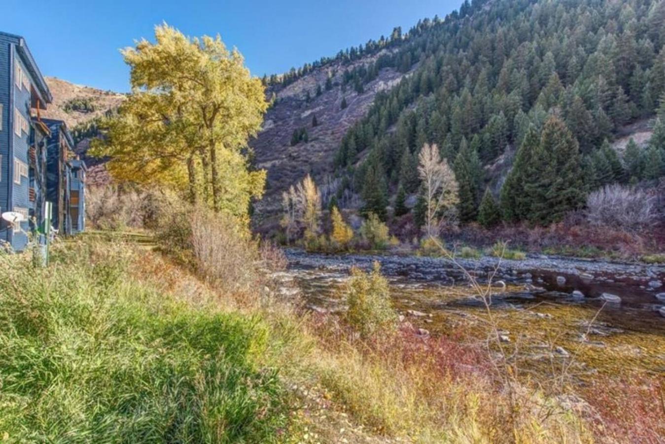 Modern Mountain Getaway Near Beaver Creek Shuttle
