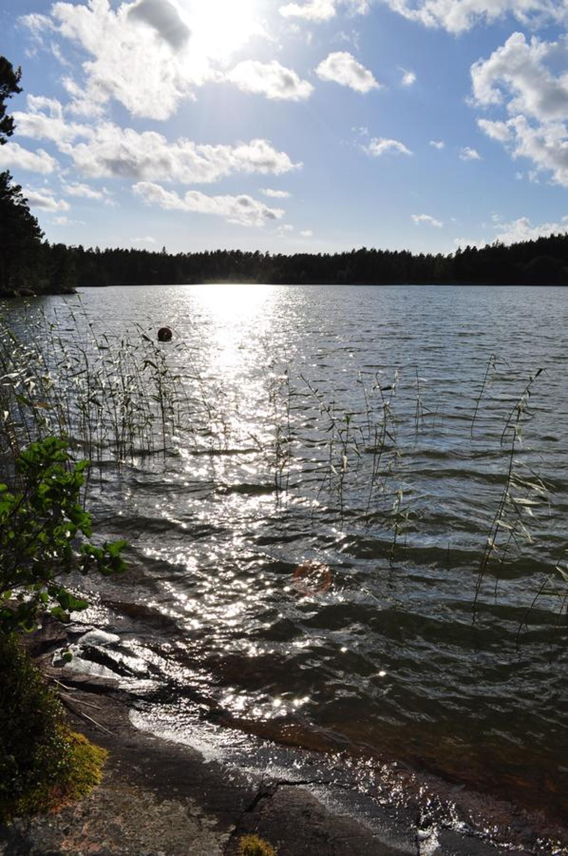 Hinders Cottages - Property Image 4