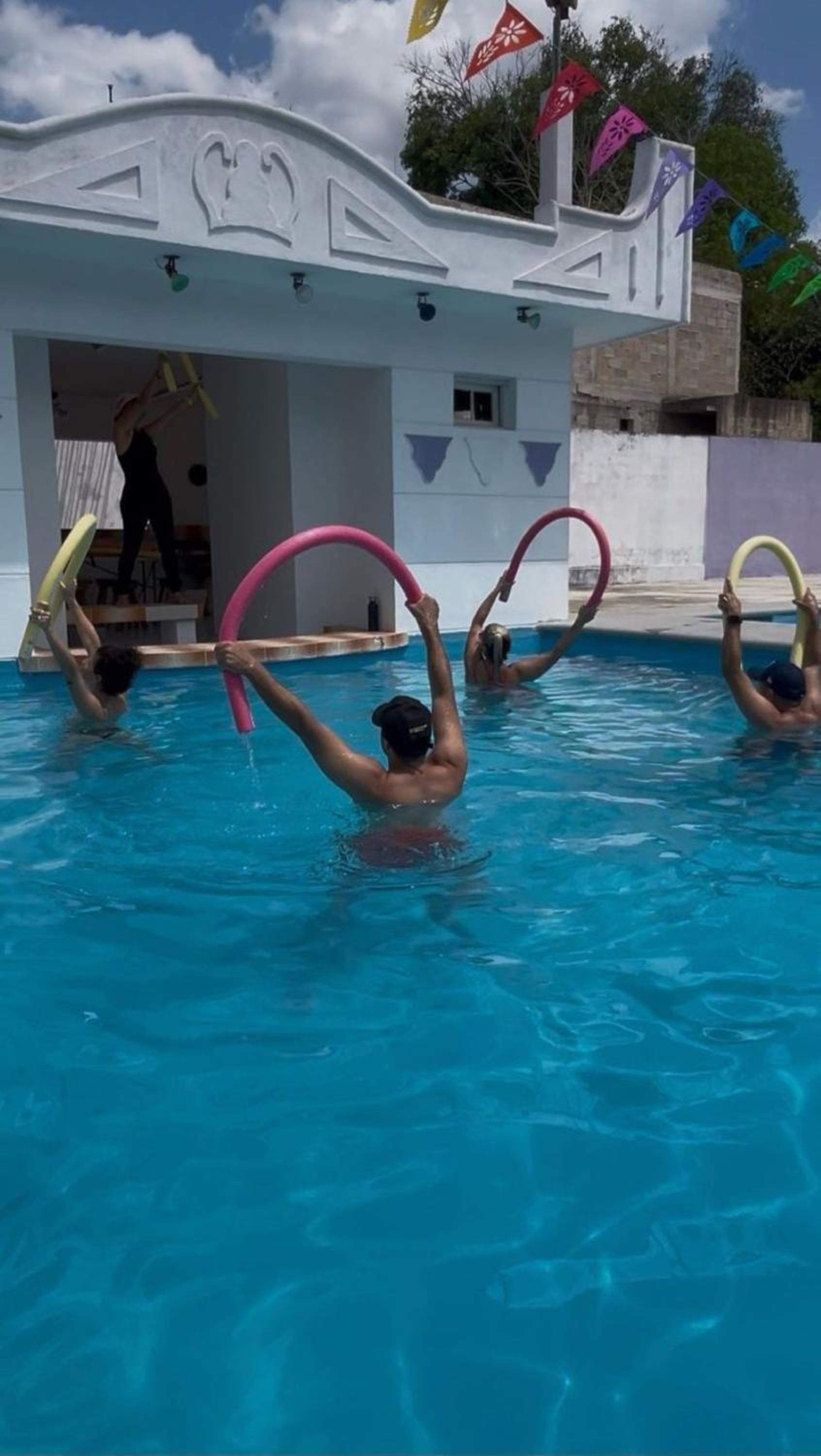 Hostel Treebu