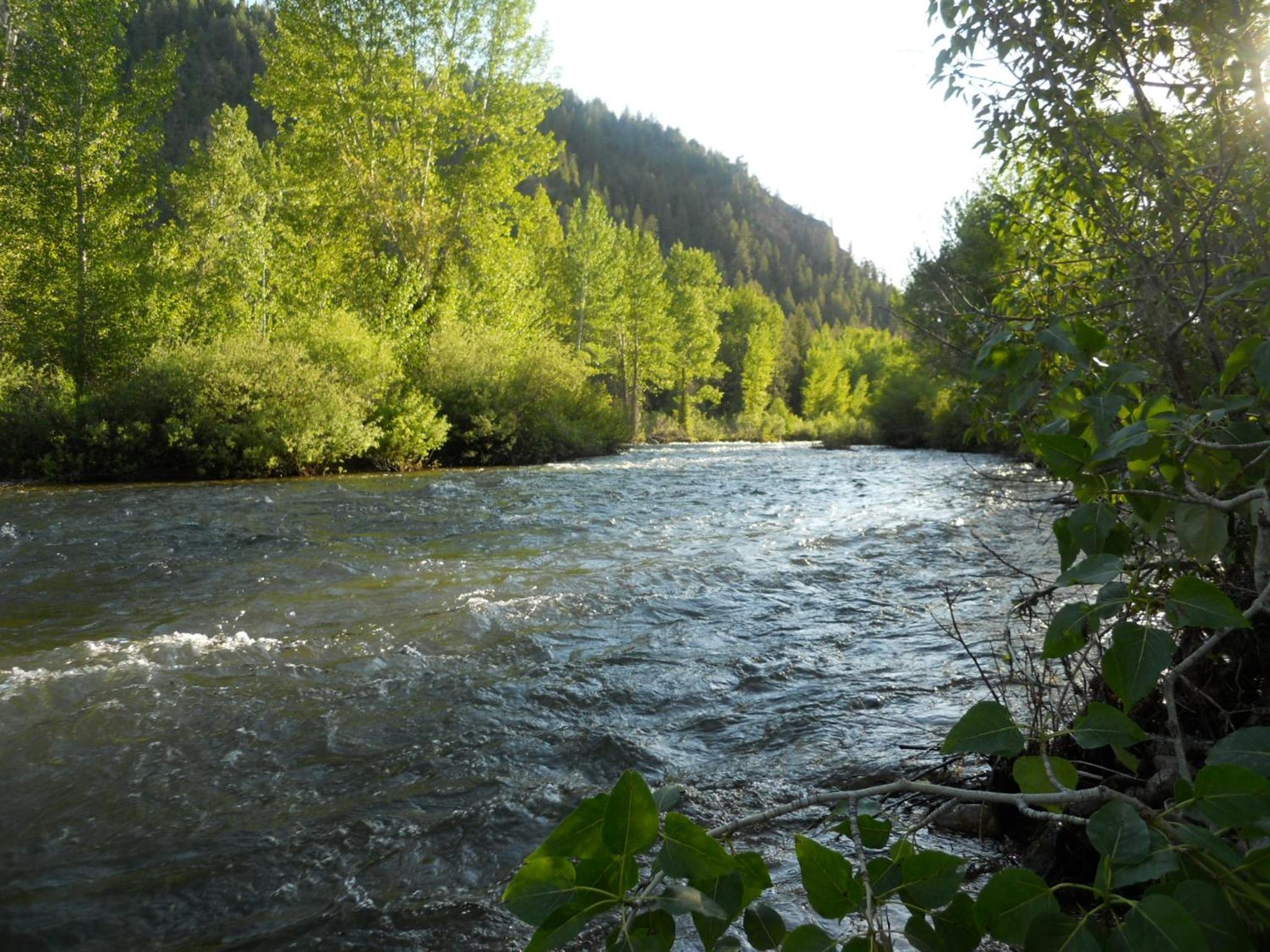 Wood River Inn  Suite - Property Image 31