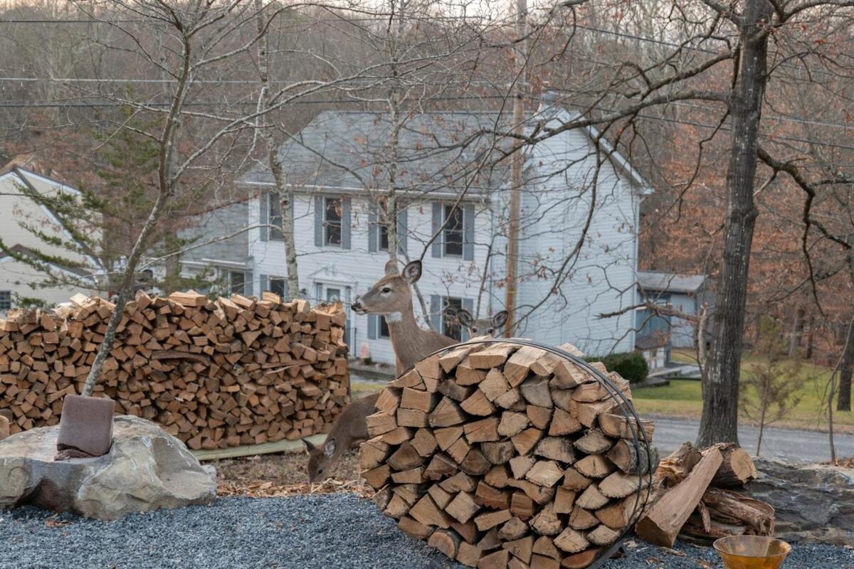 Modern Retreat Poconos 3BR Fire Pit Skiing