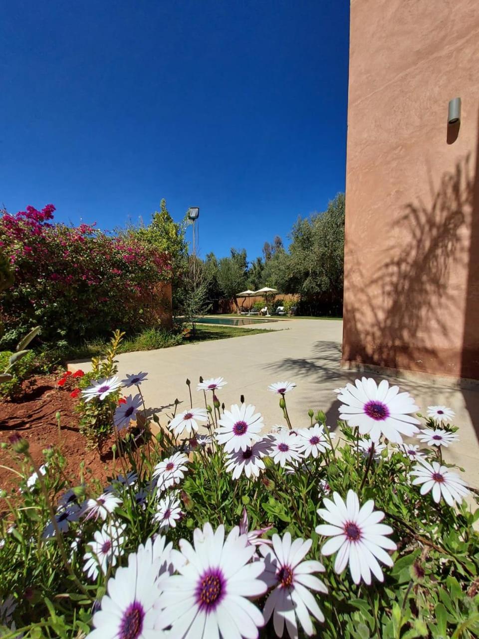 Villa Azuréa with pool 4 bedrooms and 2 living rooms