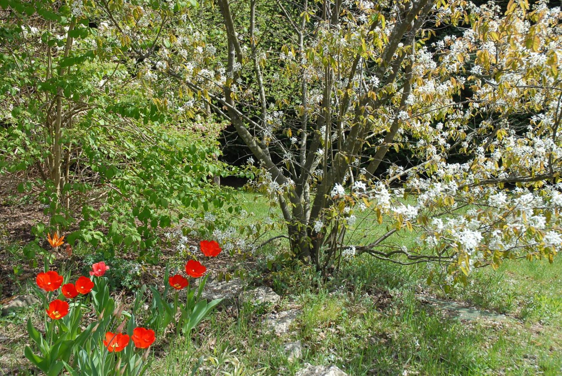 Photo 20