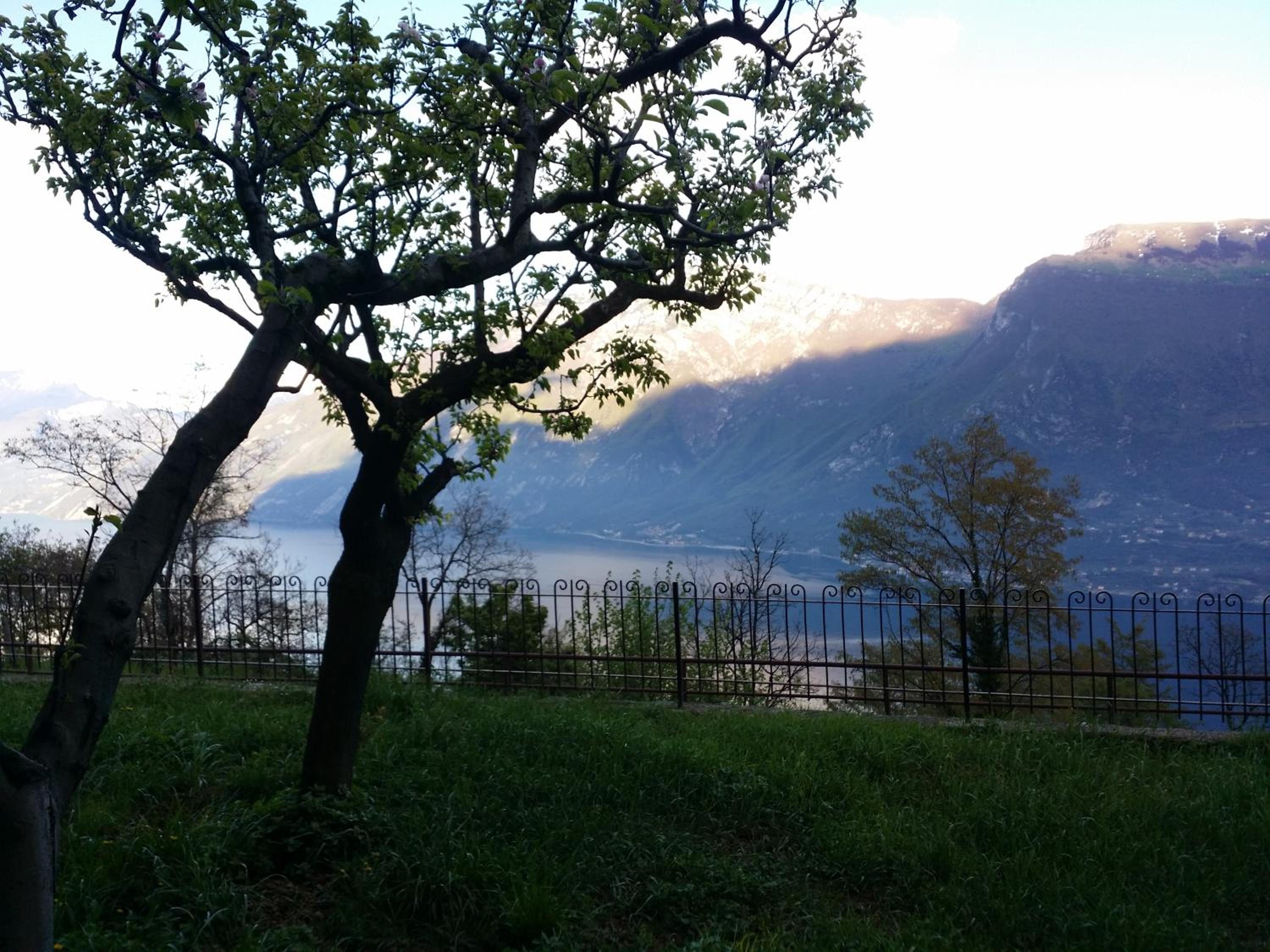 Villa Panoramica