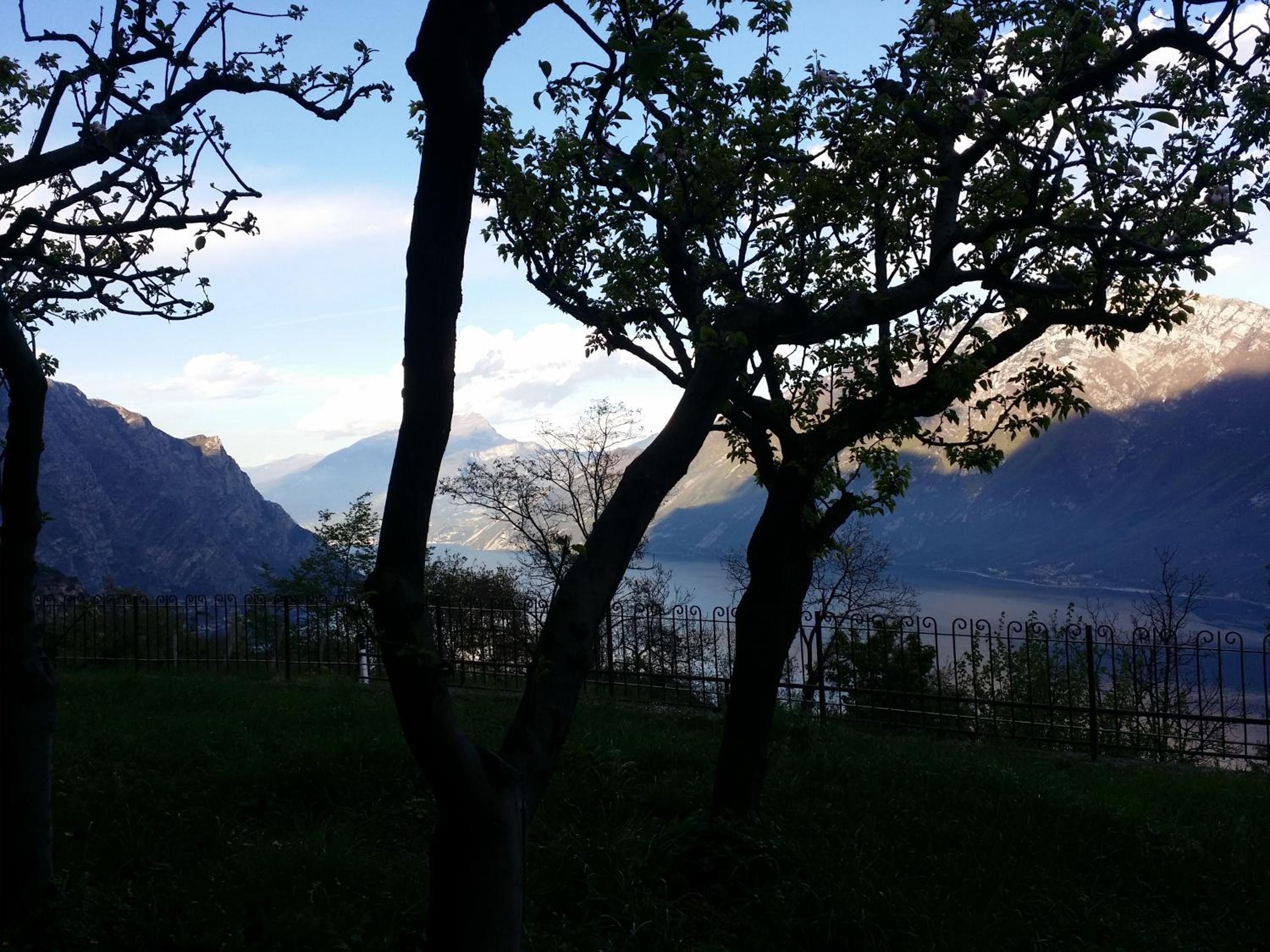 Villa Panoramica
