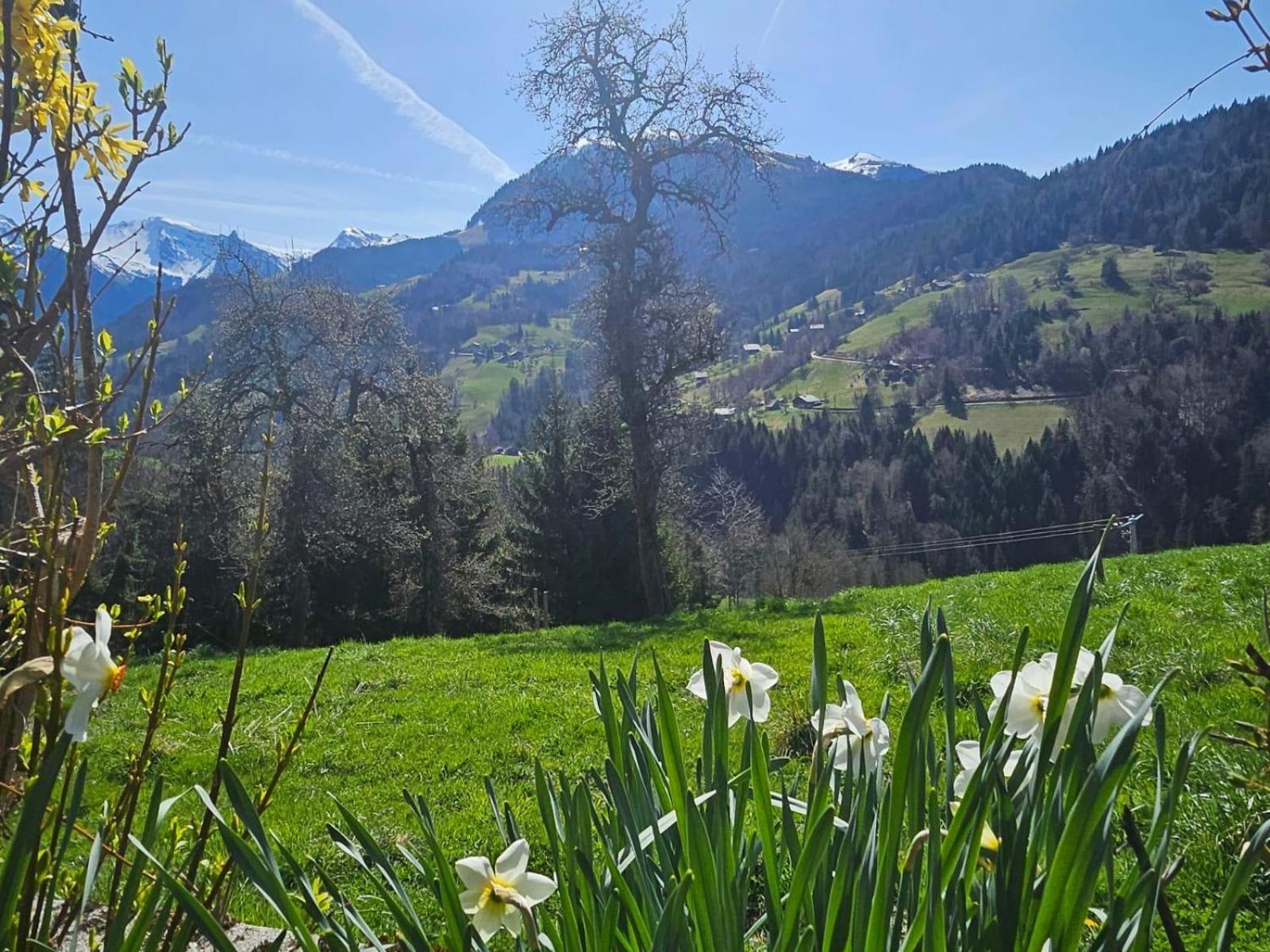 Le Mazot du Genévrier - Au coeur des Aravis