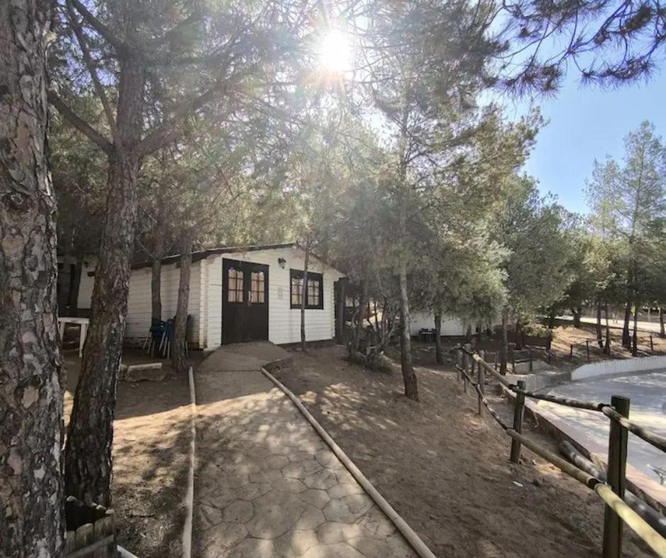 Alua Centro de Ocio - Camping Valdearenas