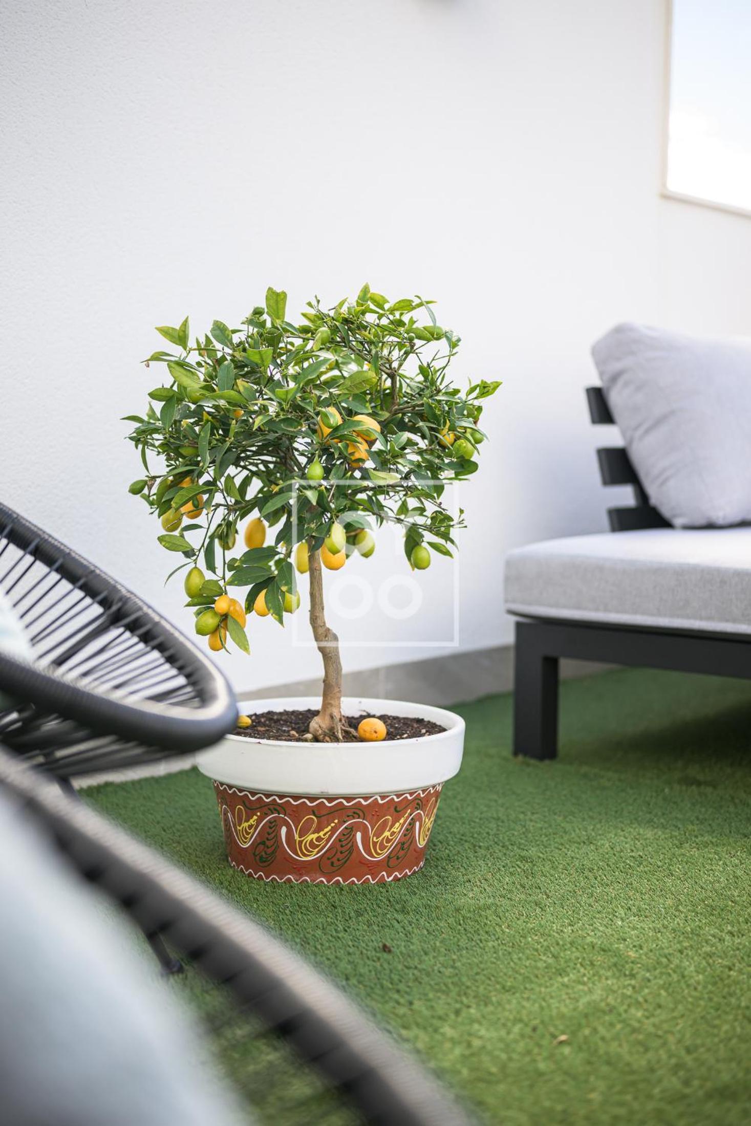 La Rambla Sky Penthouse - Rooftop BBQ pool near beach - by Oyoostays