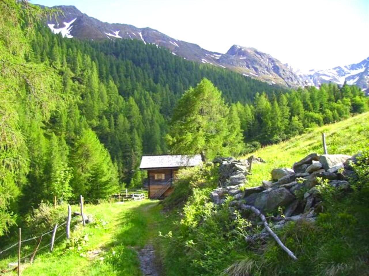 Almhütte Santnerhof - Hochgebirgshütte 1750m - This is a remote high mountain hut