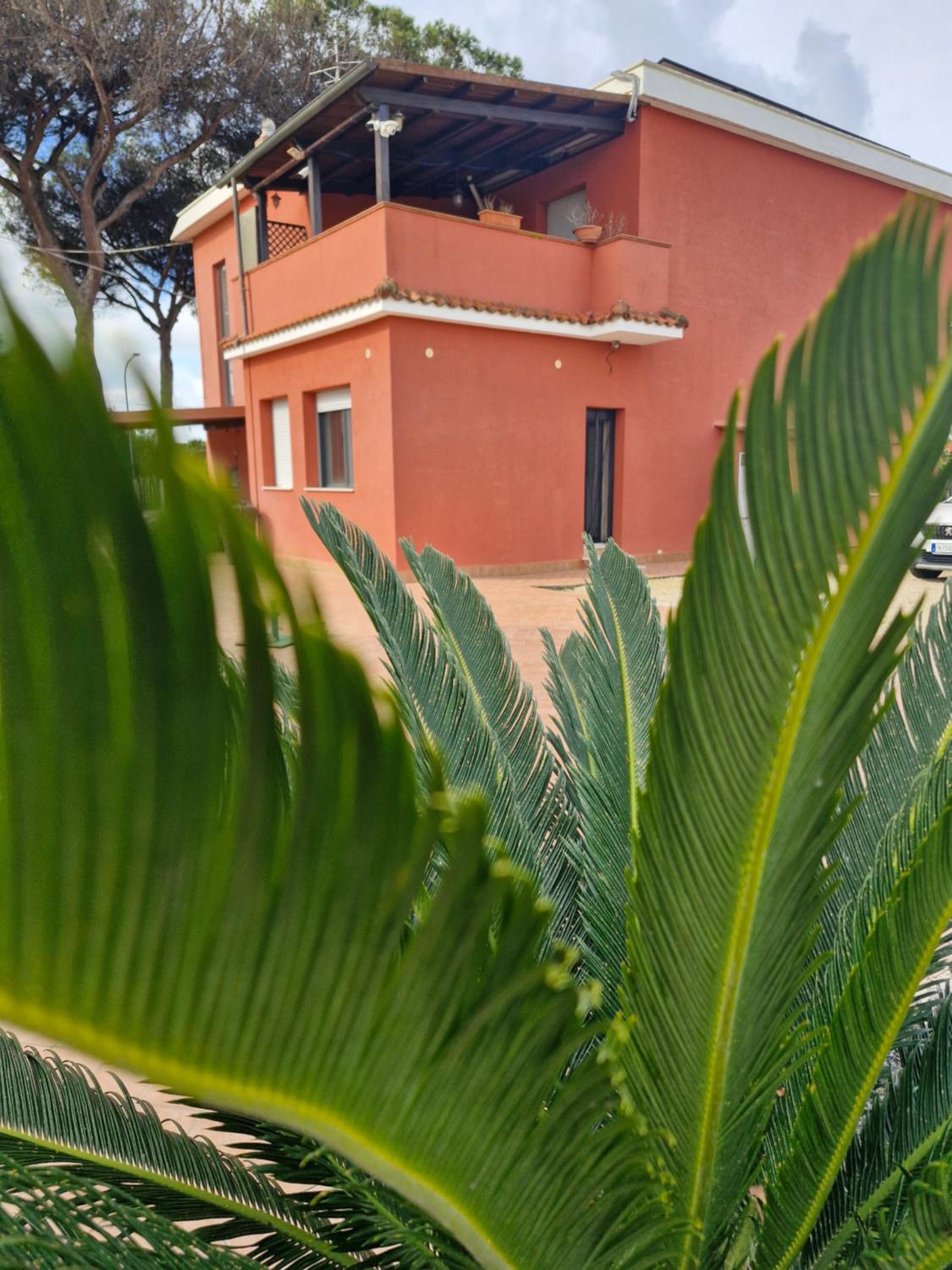 Macì Green House