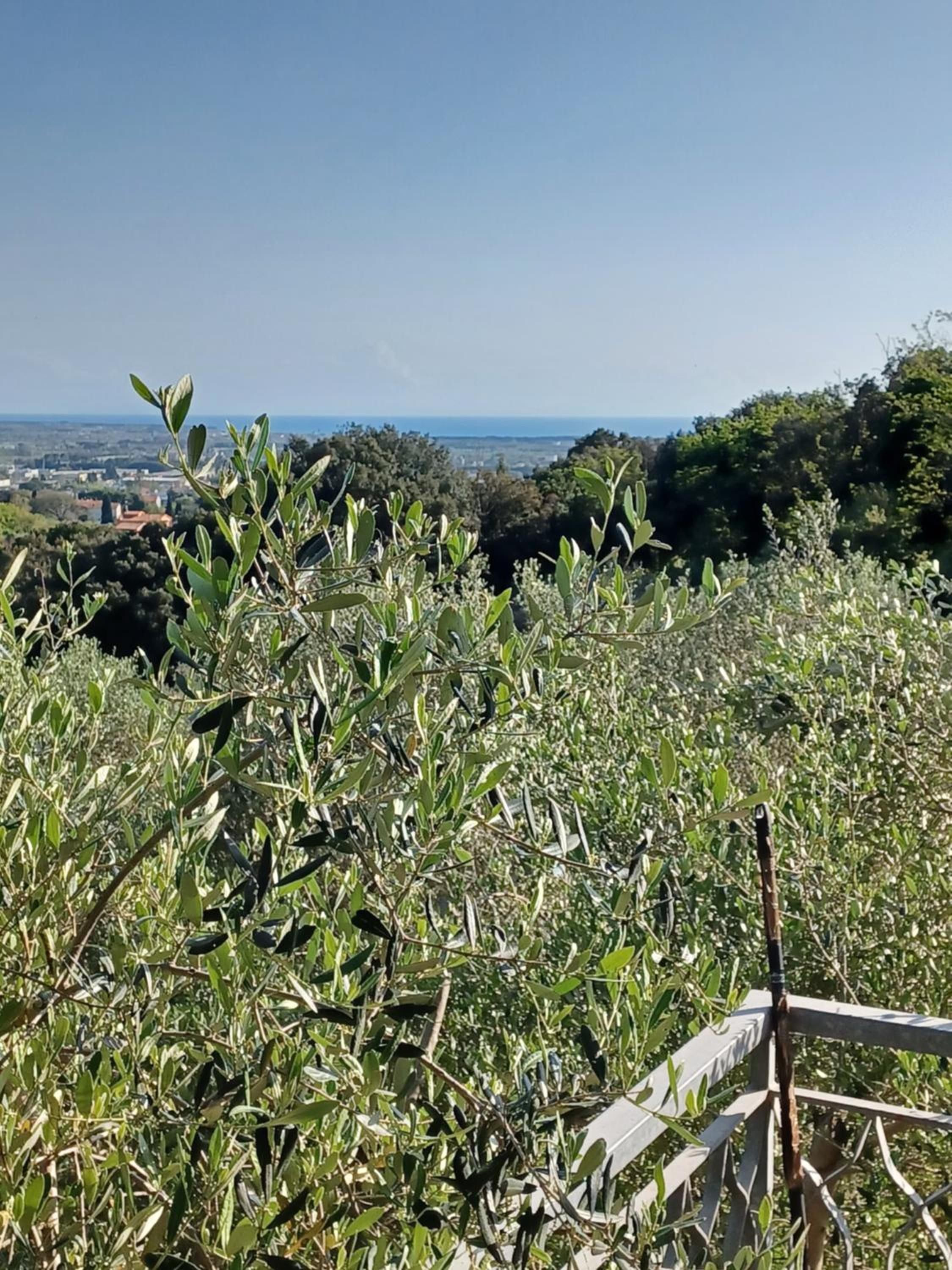 Verde Mare apartment Rosignano Marittimo