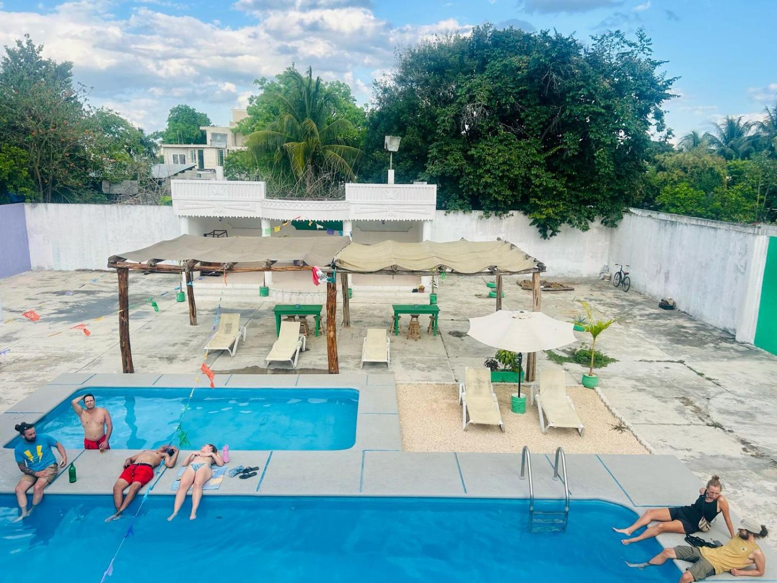Hostel Treebu