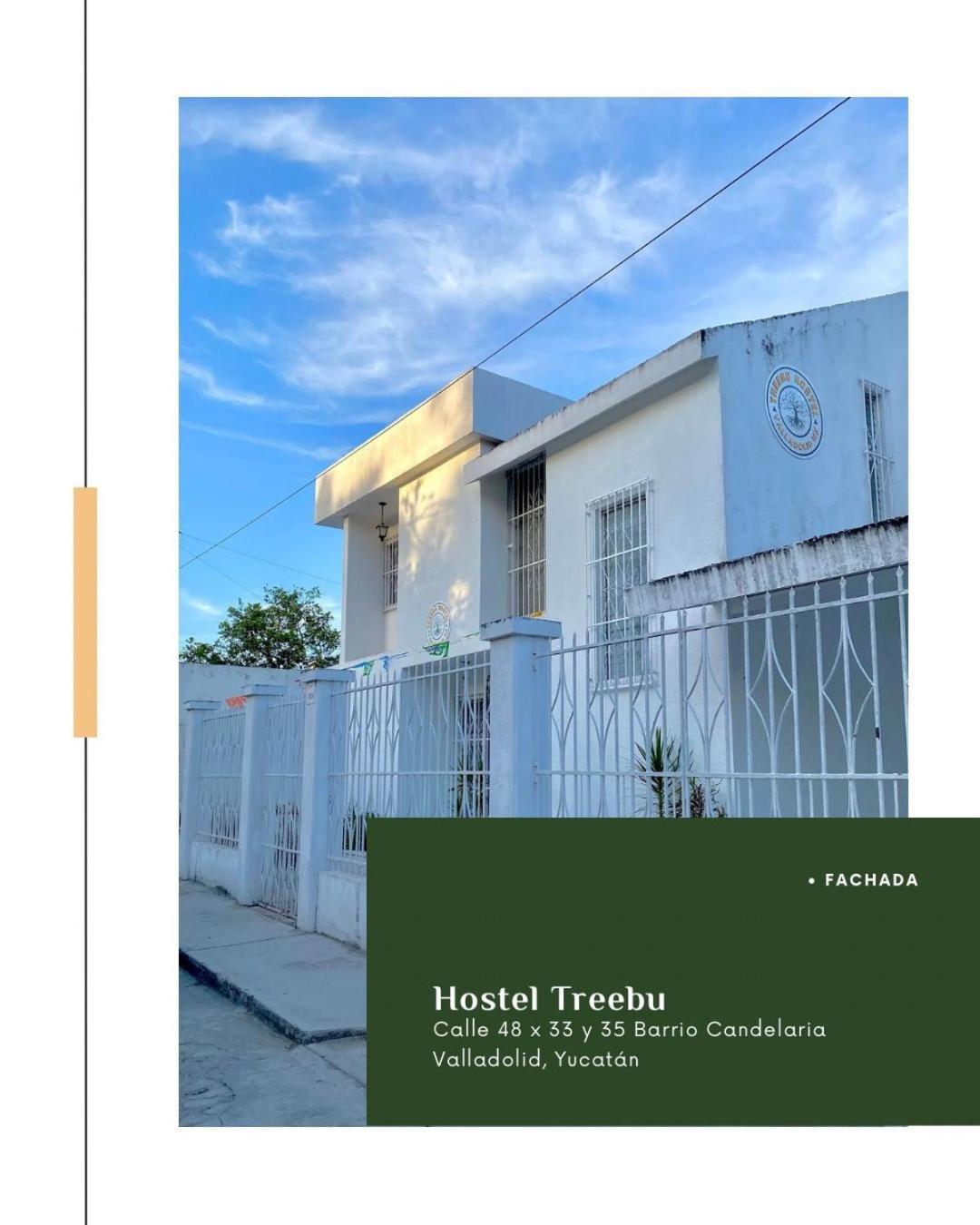 Hostel Treebu