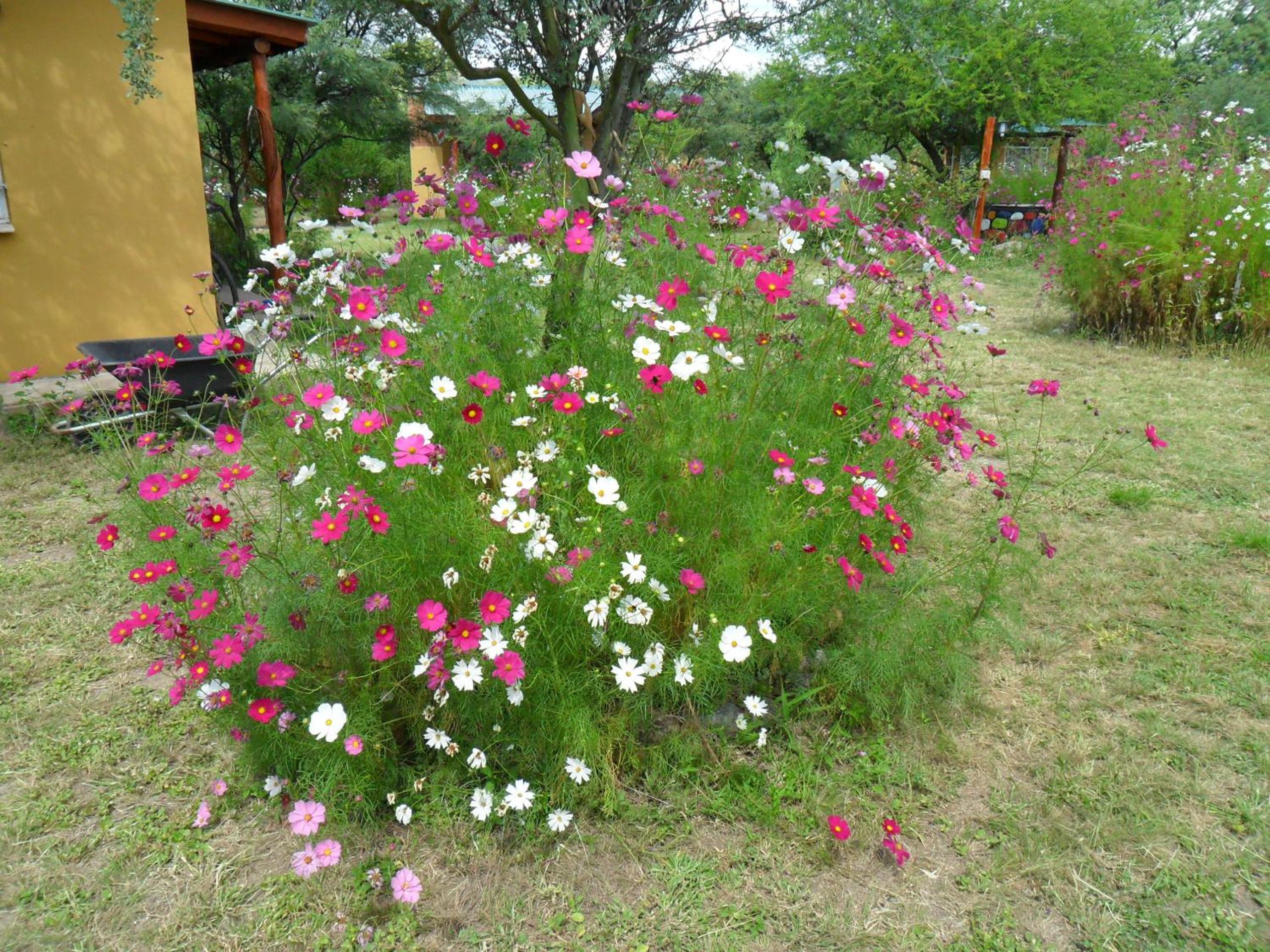 Cabañas Mandala