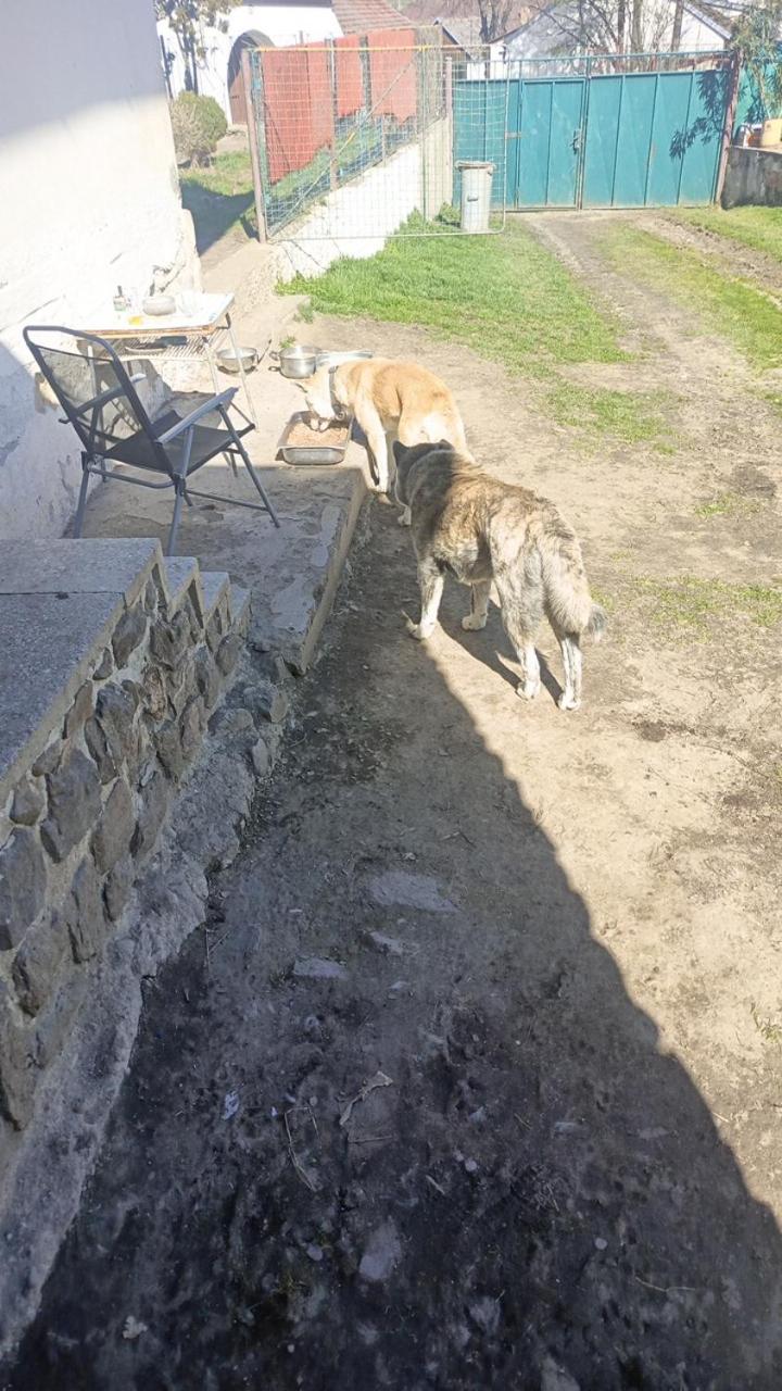 Chata u Petra