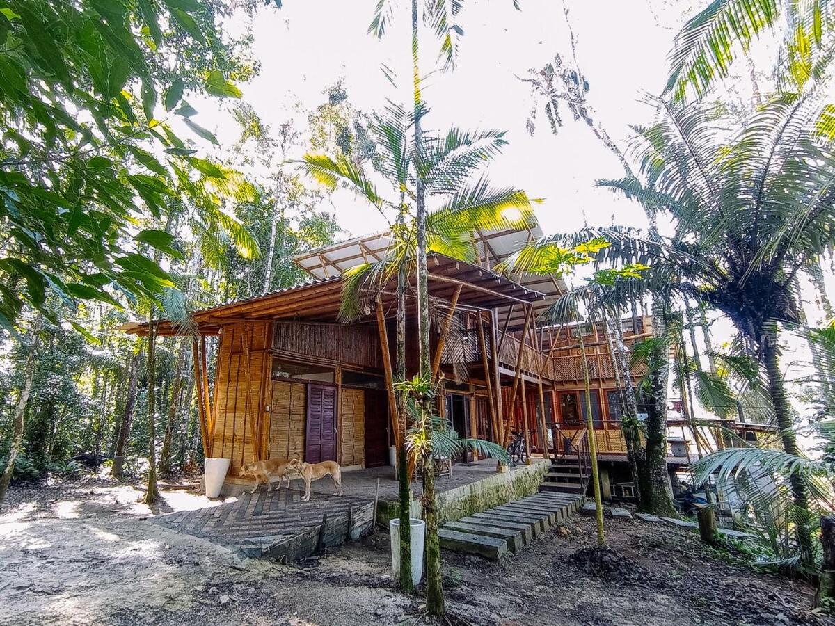 Casa Yamandu, Biocasa in the forest, beautiful waterfall