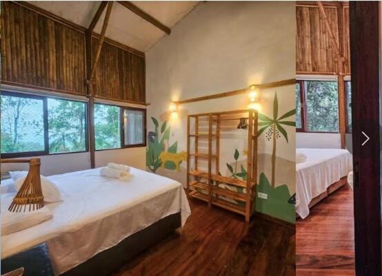 Casa Yamandu, Biocasa in the forest, beautiful waterfall