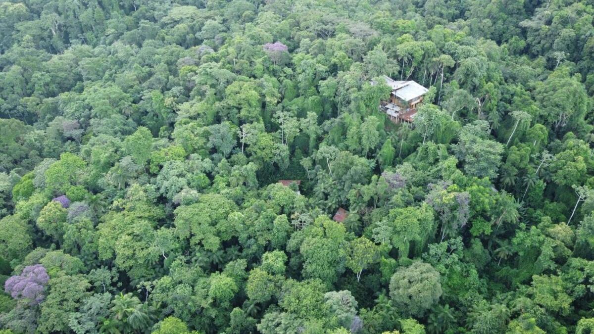 Casa Yamandu, Biocasa in the forest, beautiful waterfall