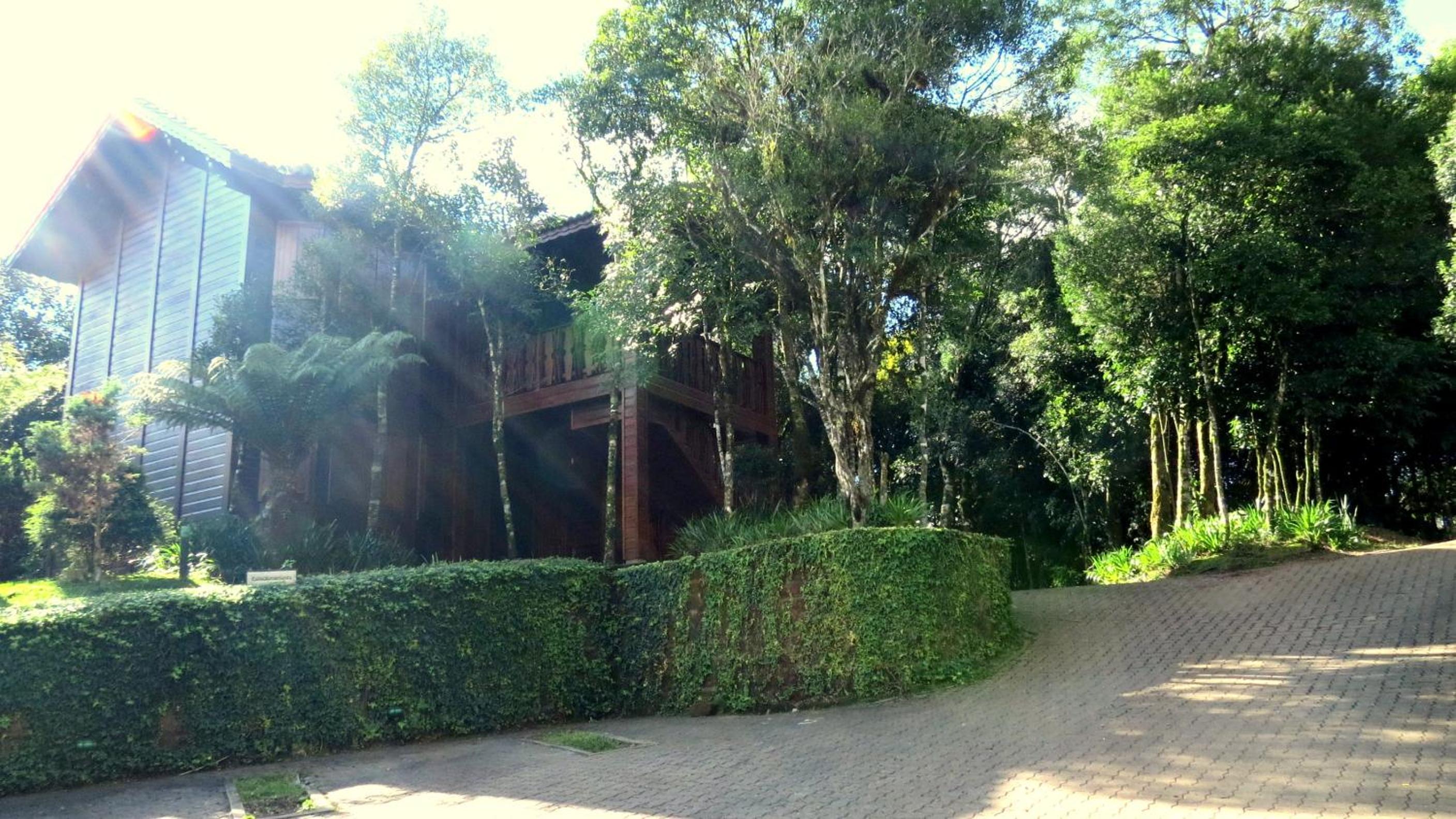 Photo 31