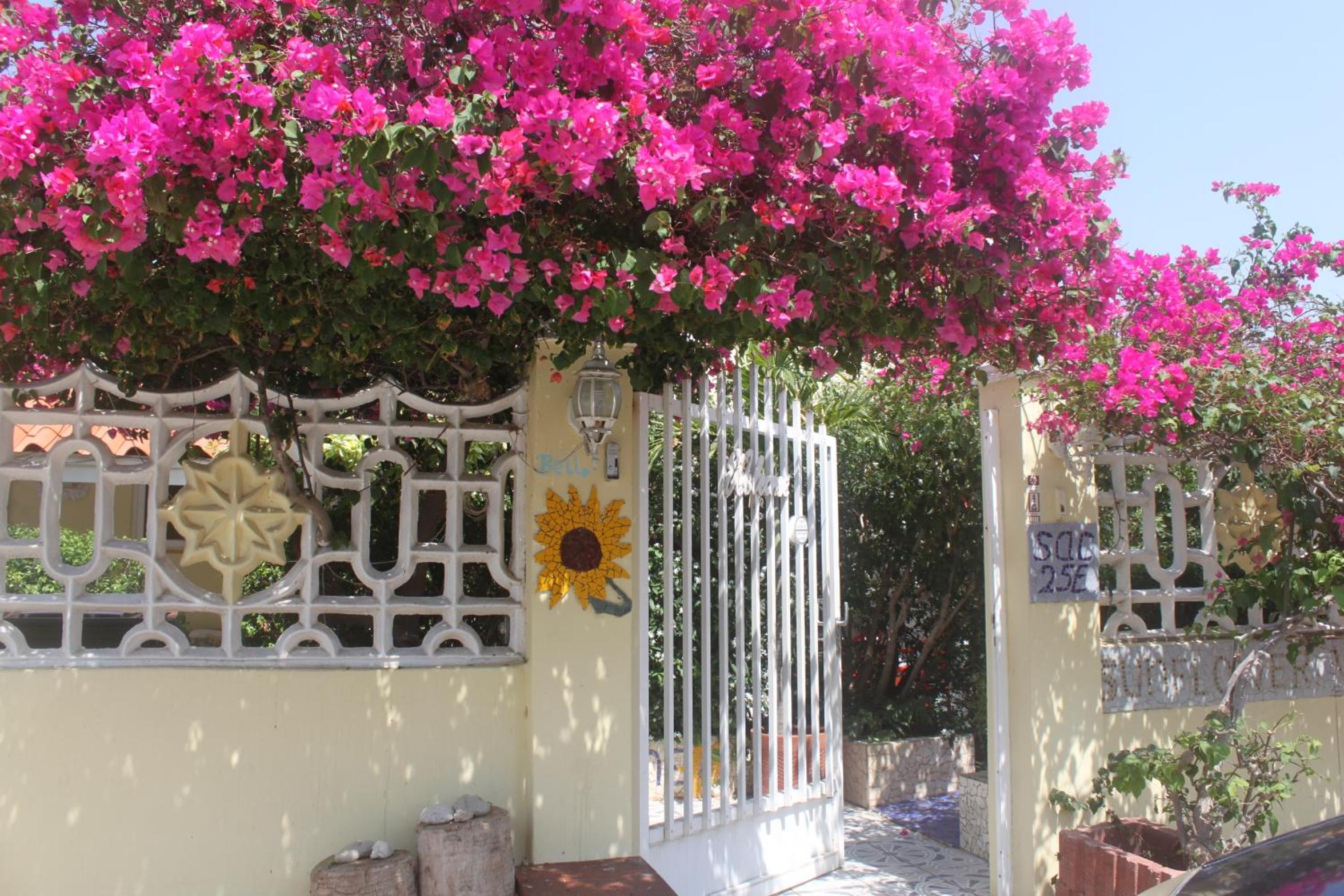 Sunflower Villa Studios