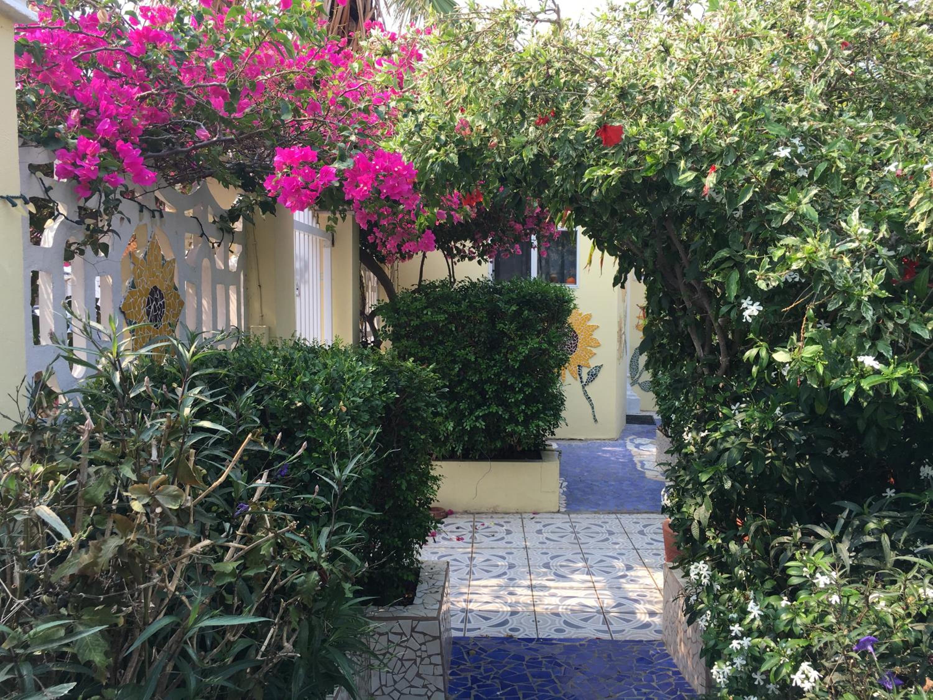 Sunflower Villa Studios