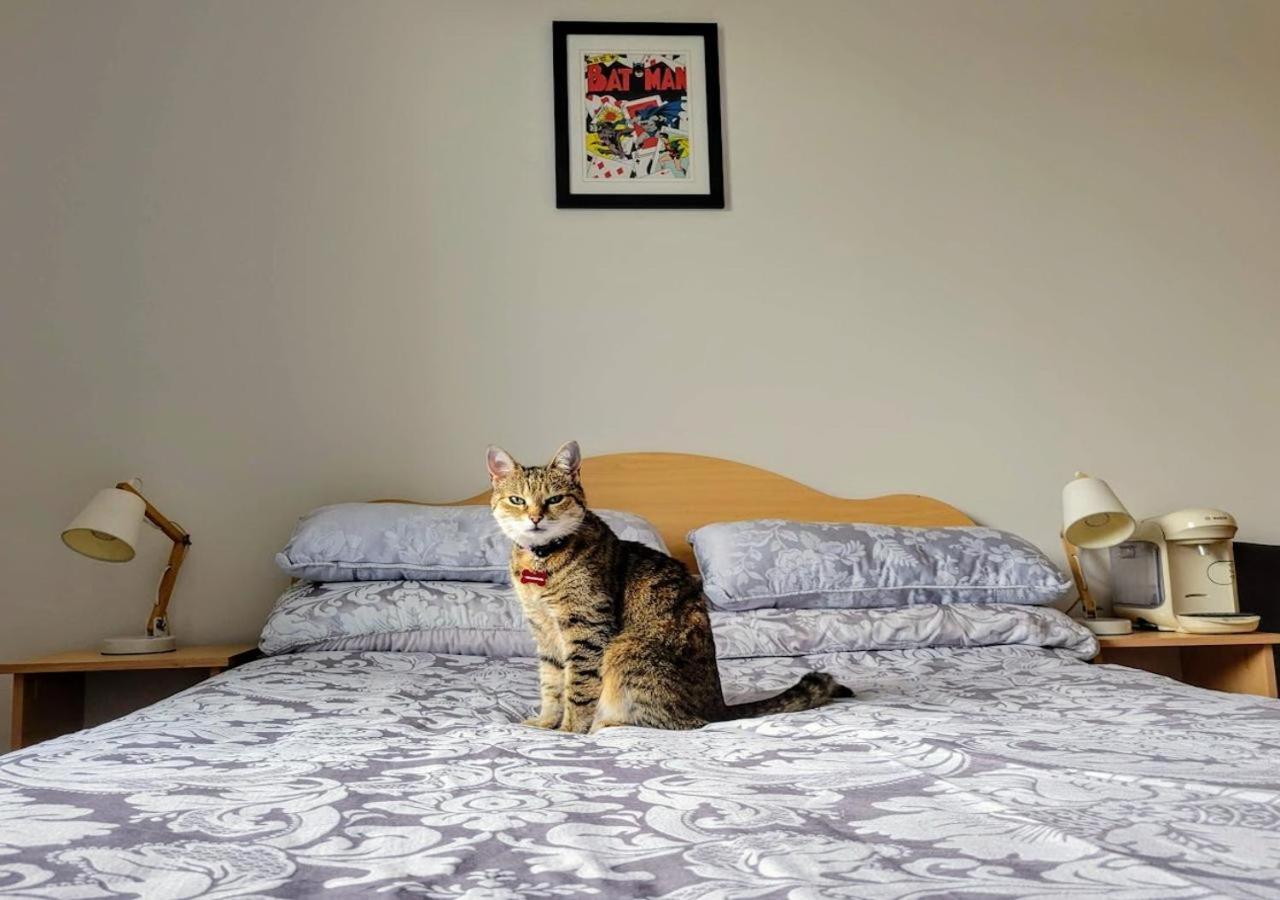 Central Stay with Free Parking Private Room in Shared Flat
