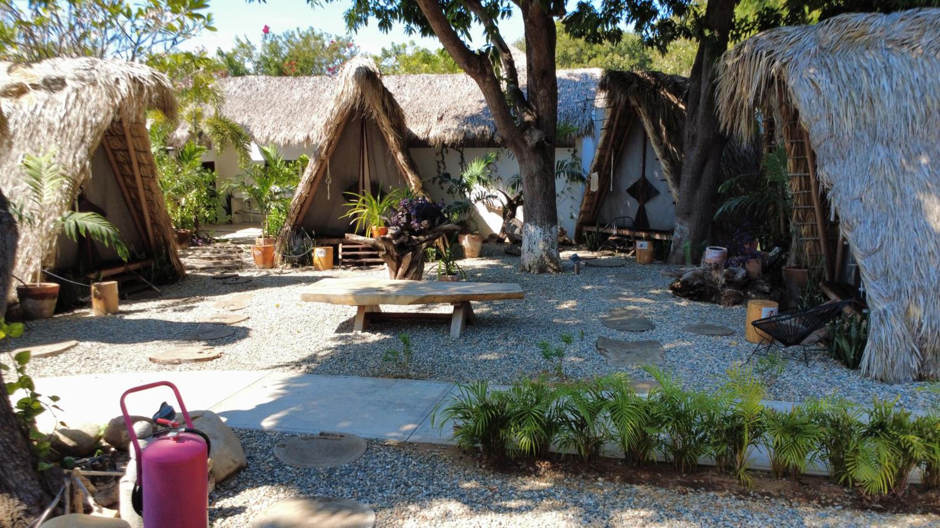 Tribu Tipis & Surf