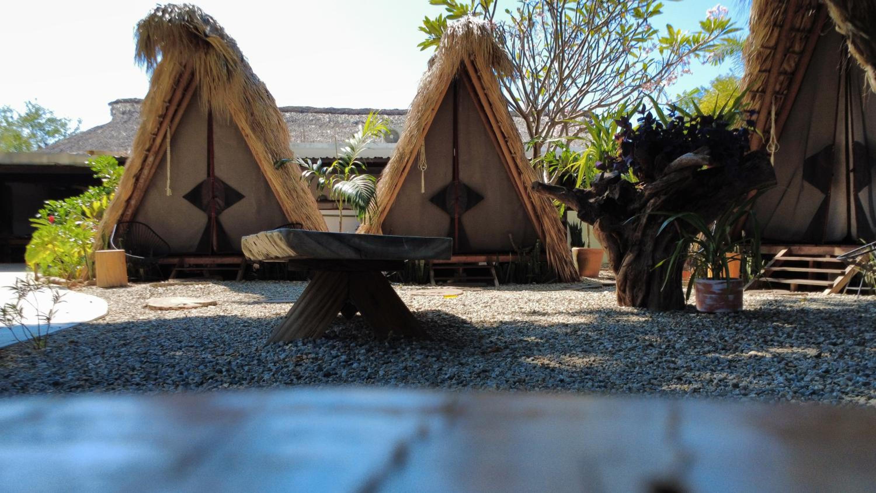 Tribu Tipis & Surf
