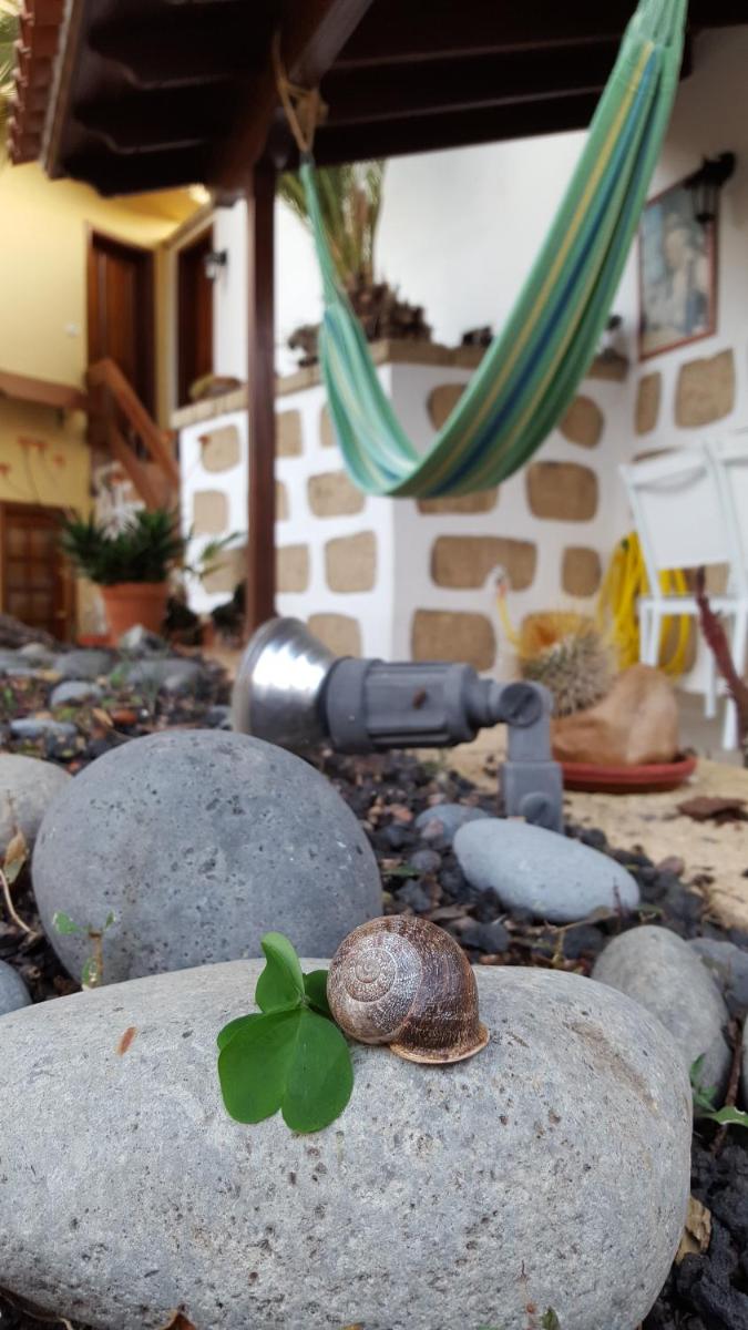 Casa Rural El Traspatio
