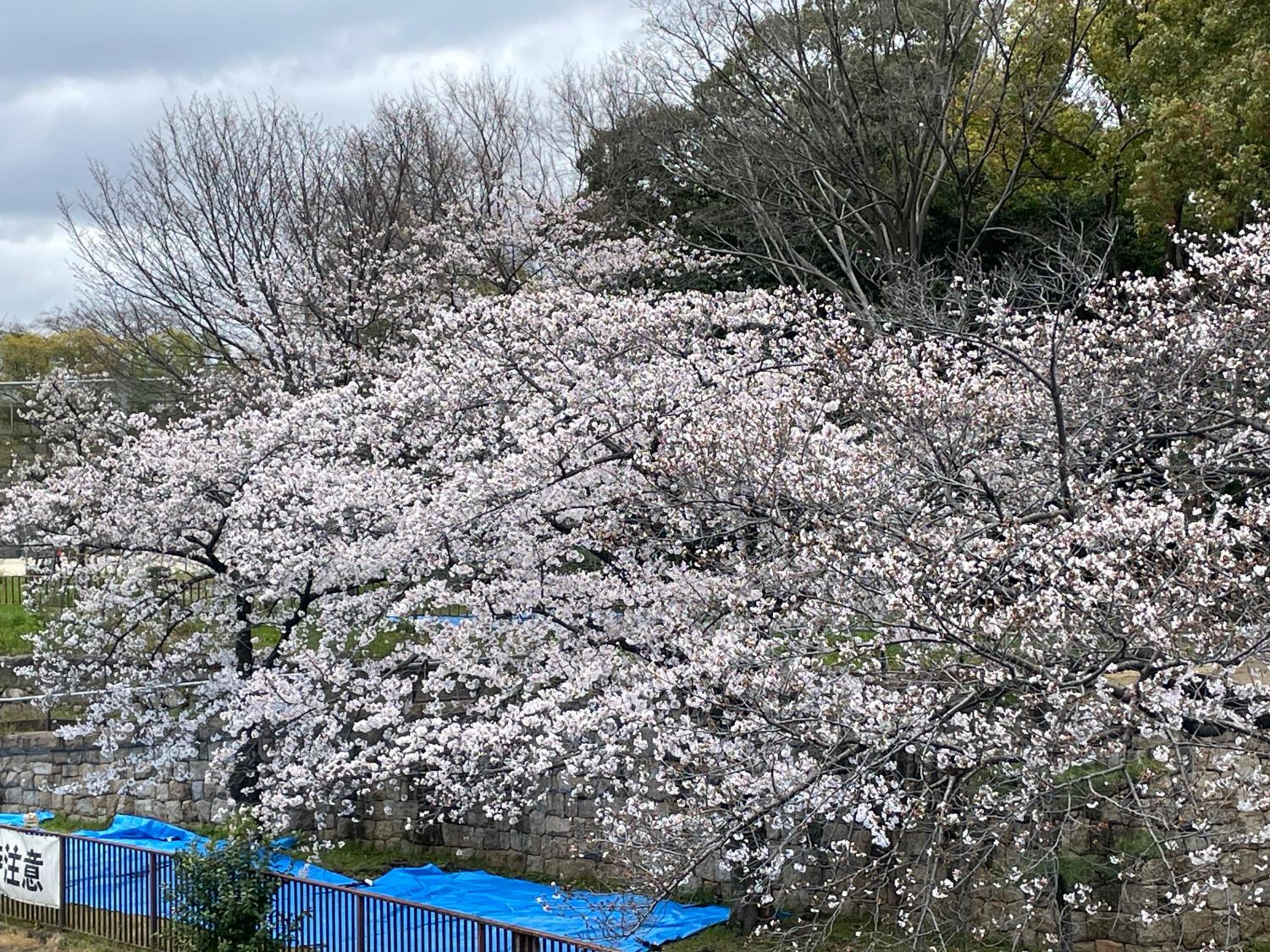 White Hotel Tsuruhashi