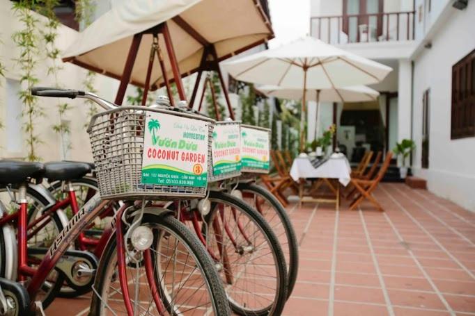 Coconut Garden Homestay