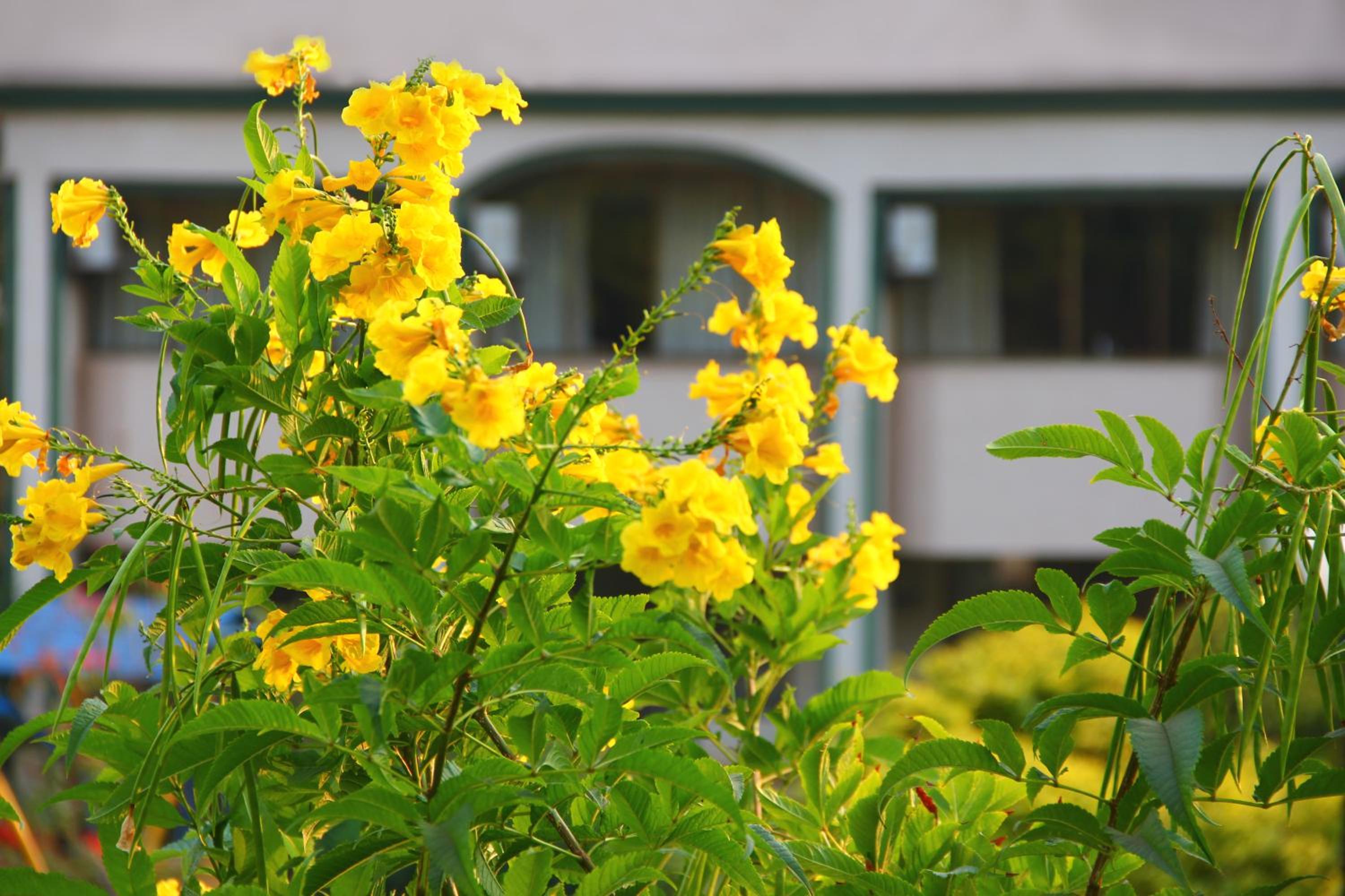 Blue Country Resort