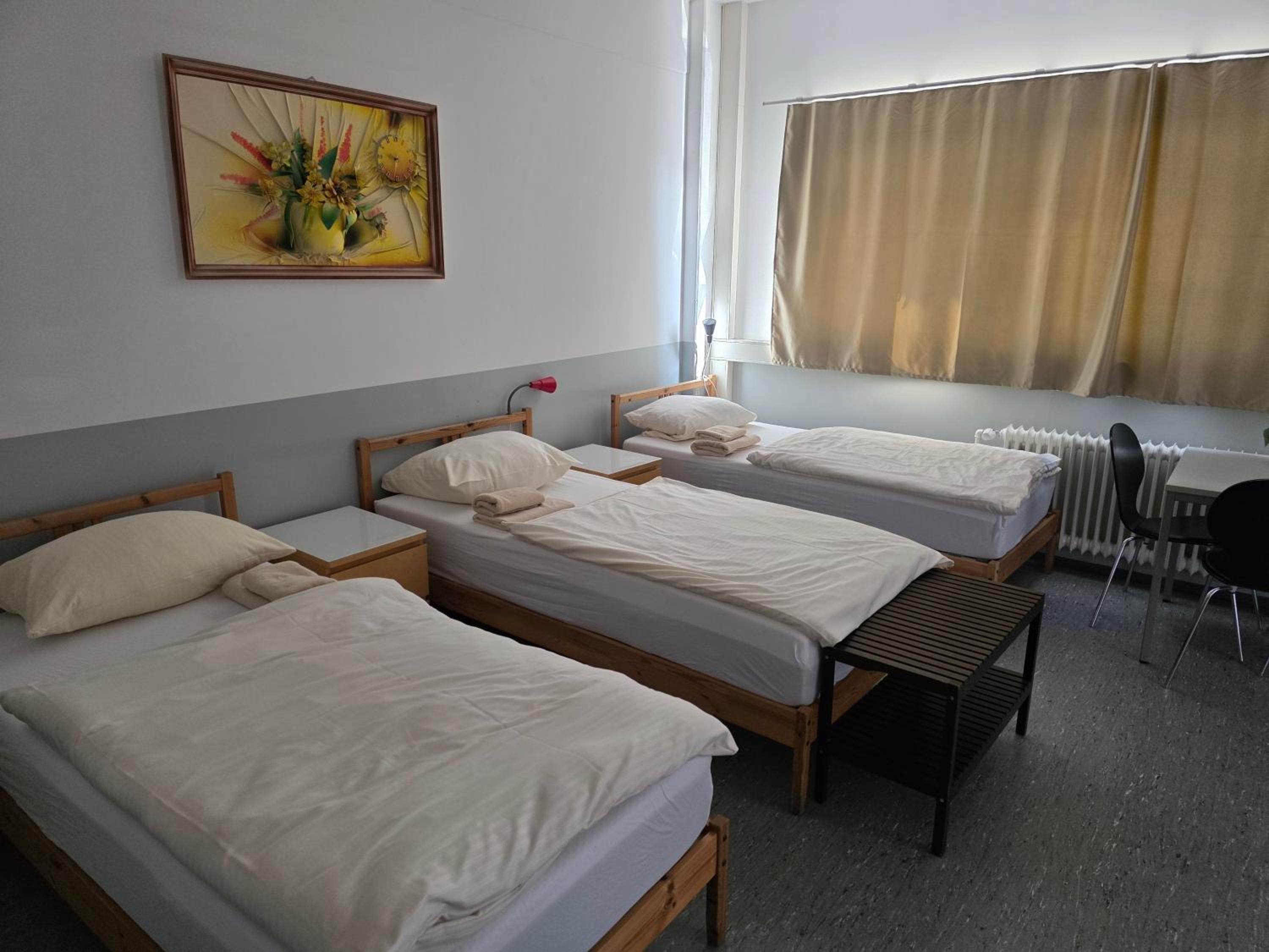 Pension Messe, photo 23