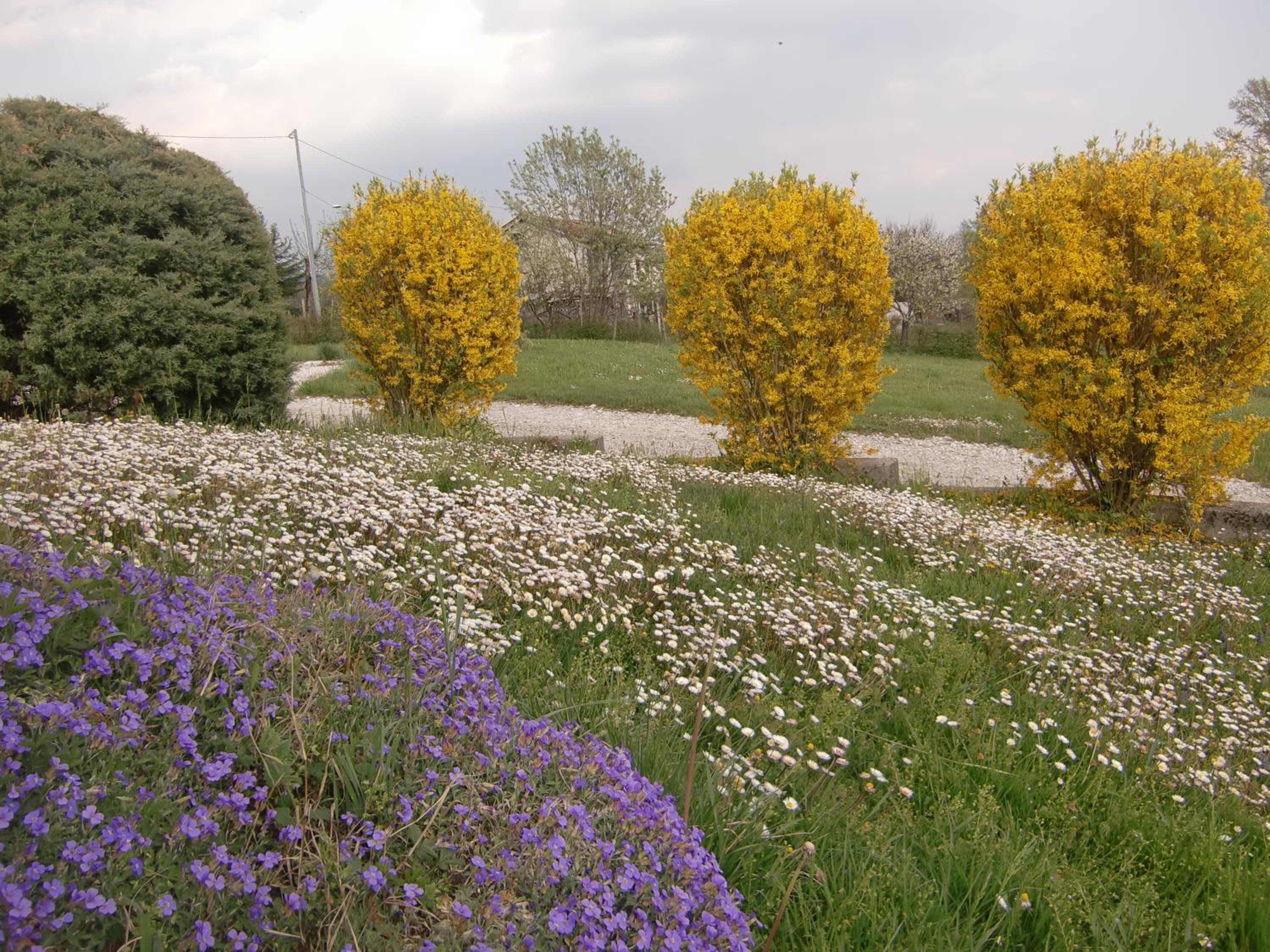 Photo 46