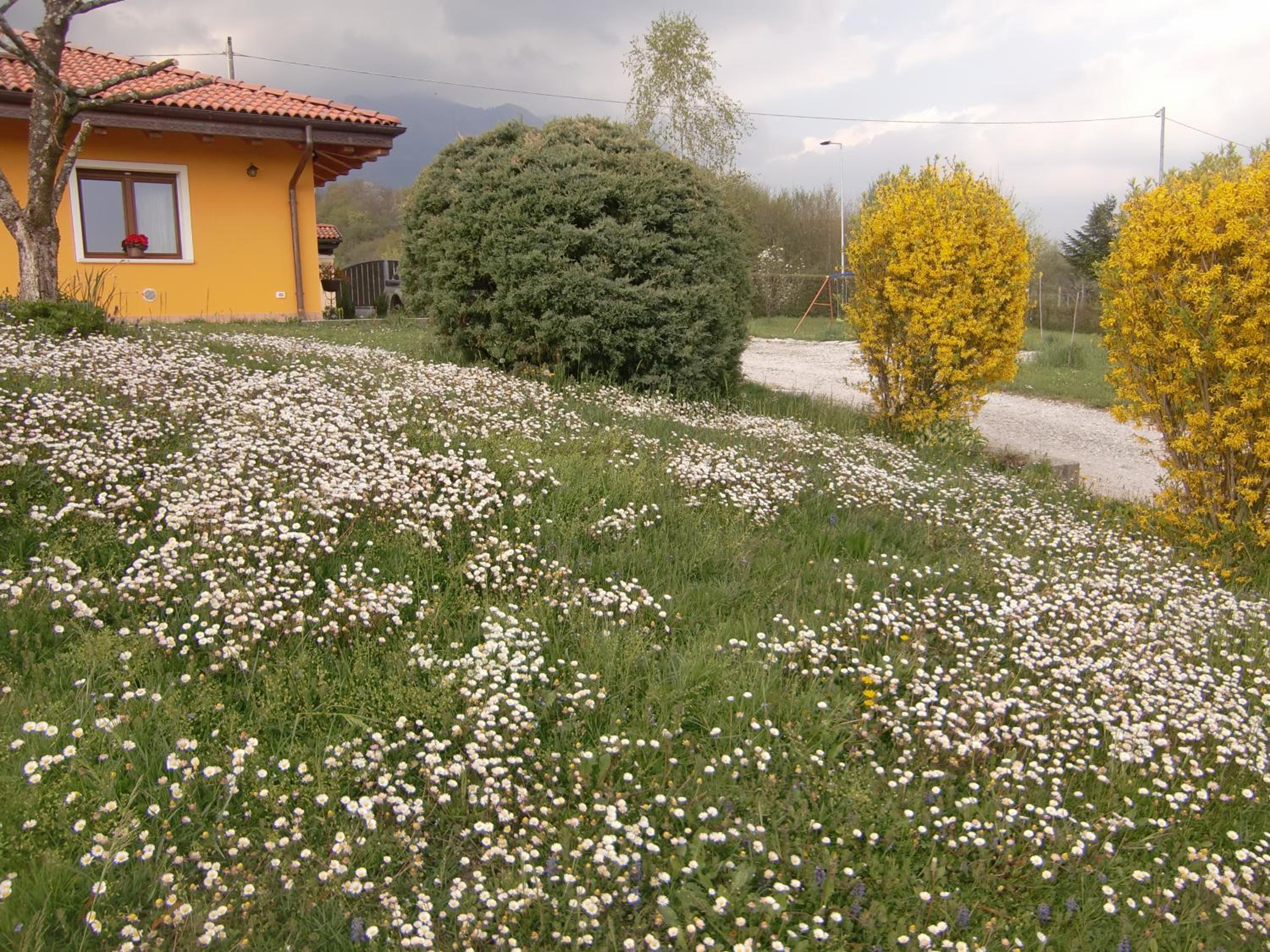 Photo 44