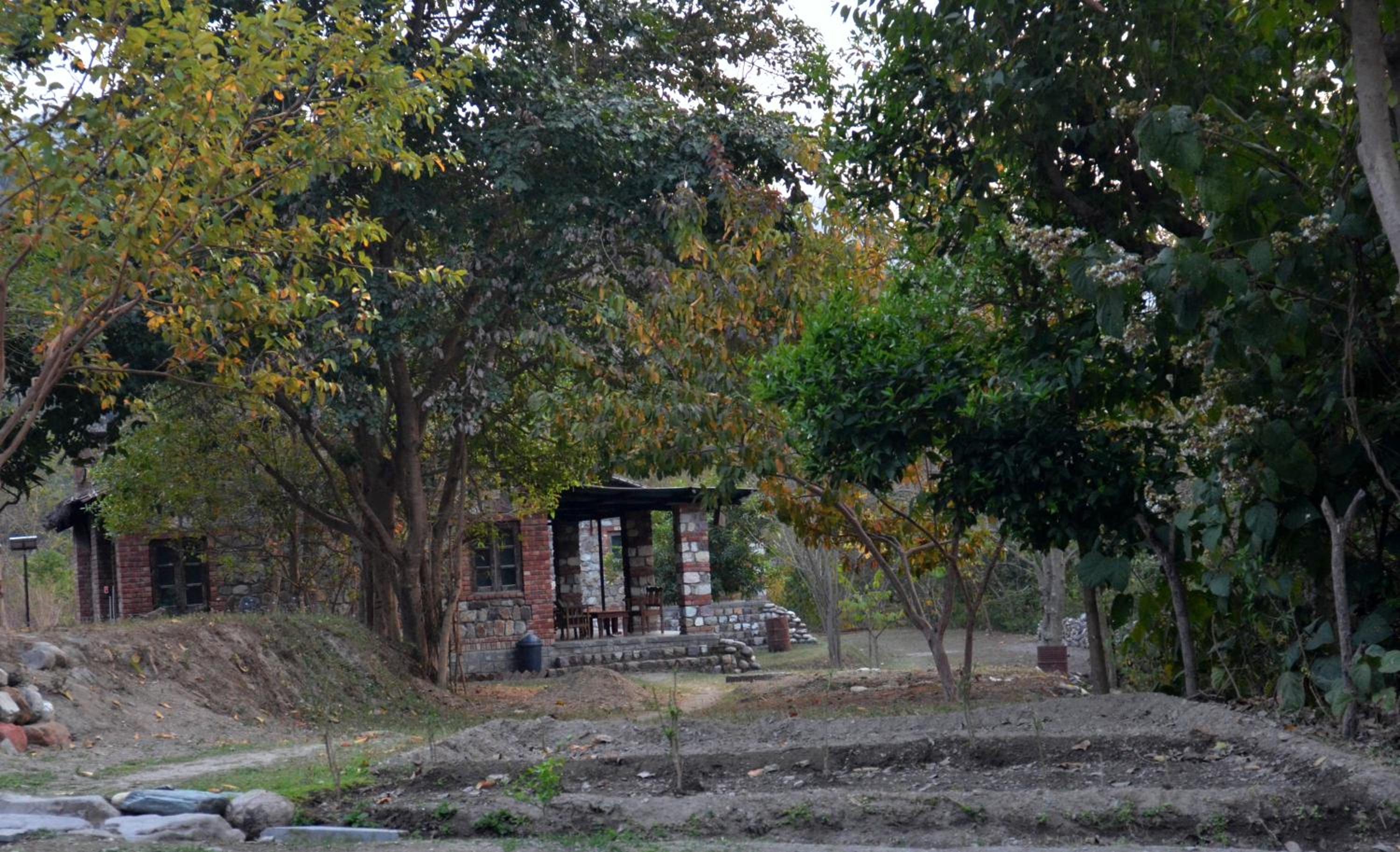Photo 20