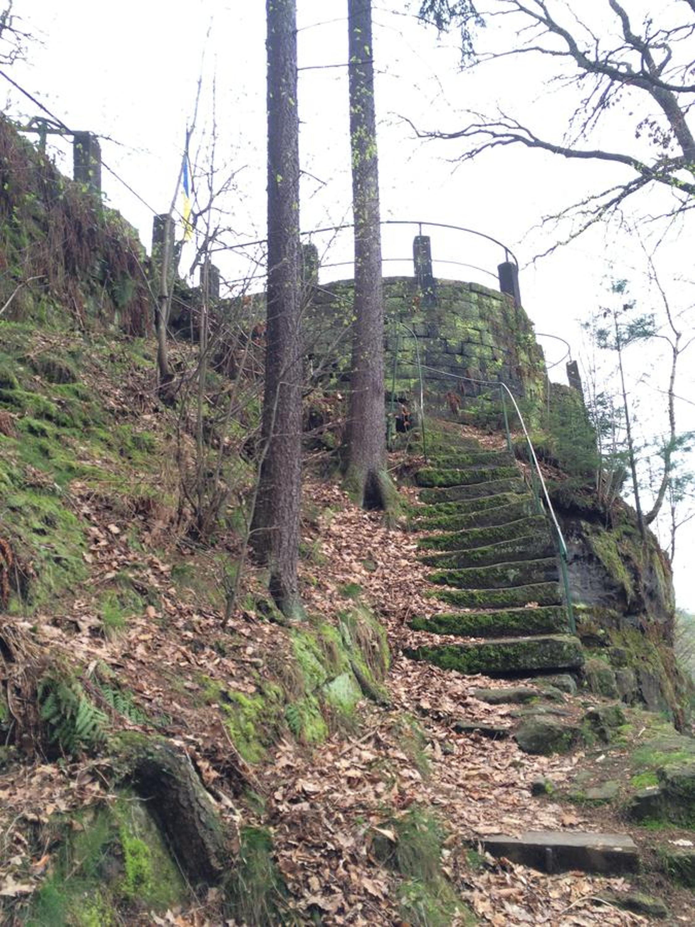 Pension Hönel-Hof Bad Schandau