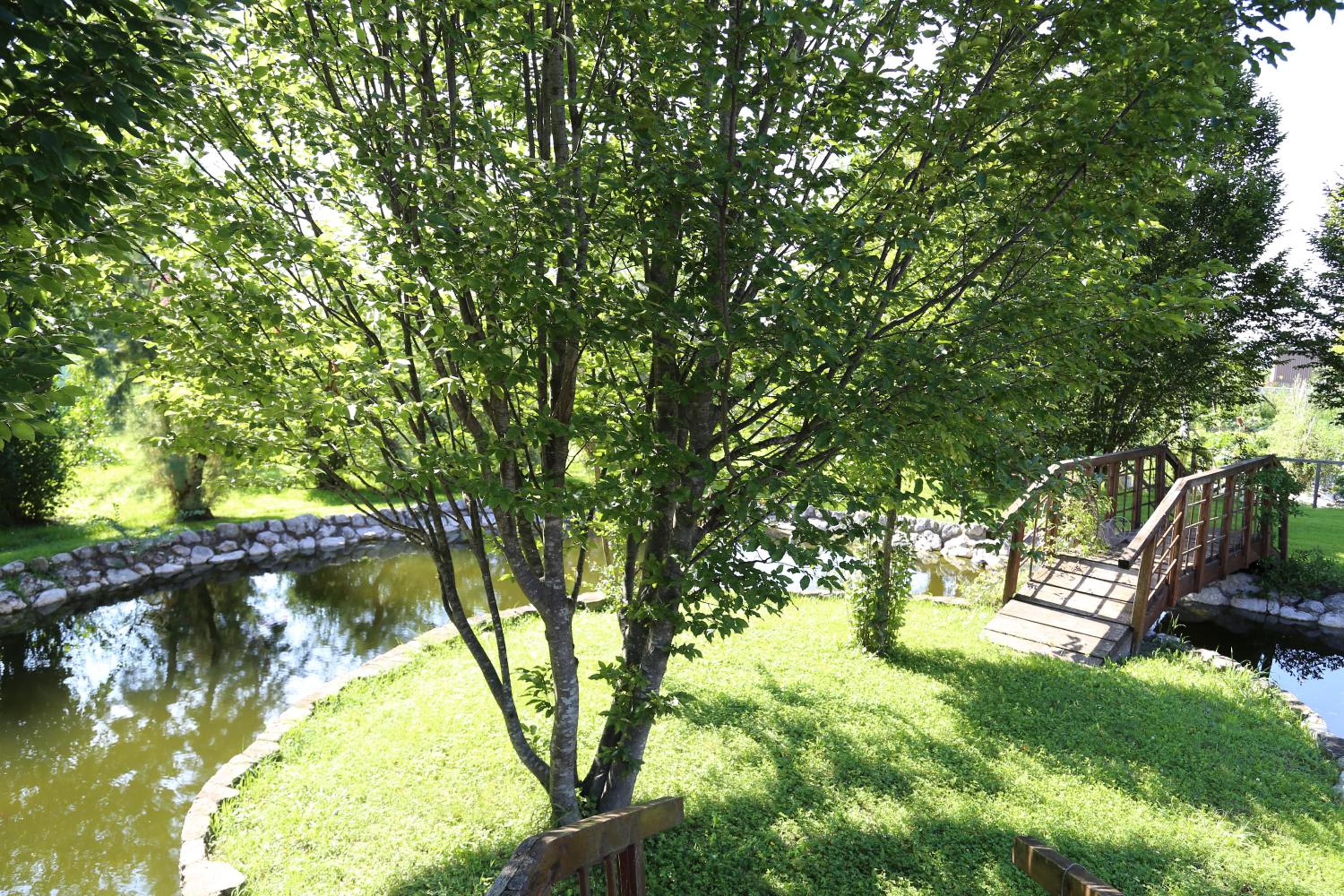 Photo 31