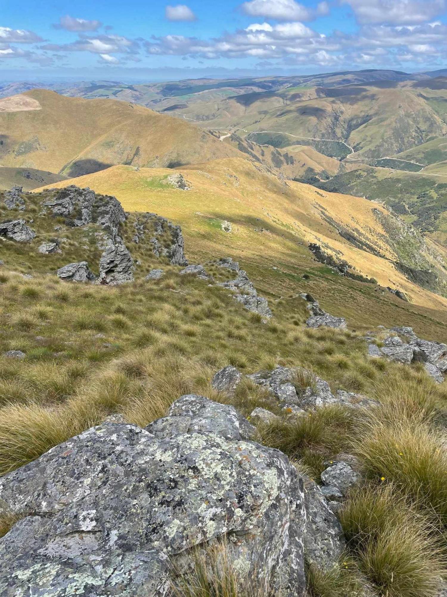 Bacardi Heights Waikaia by Tiny Away