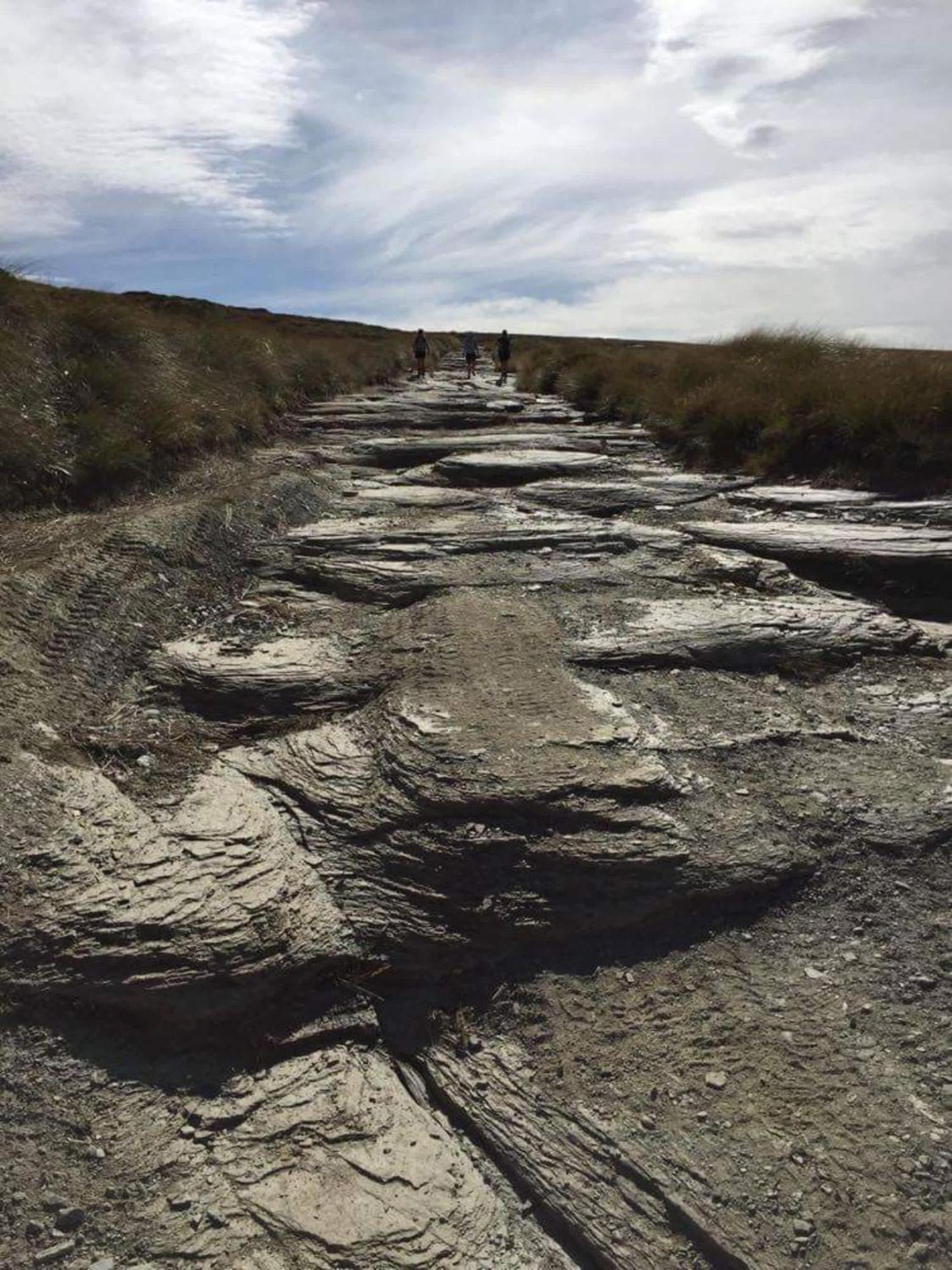 Bacardi Heights Waikaia by Tiny Away