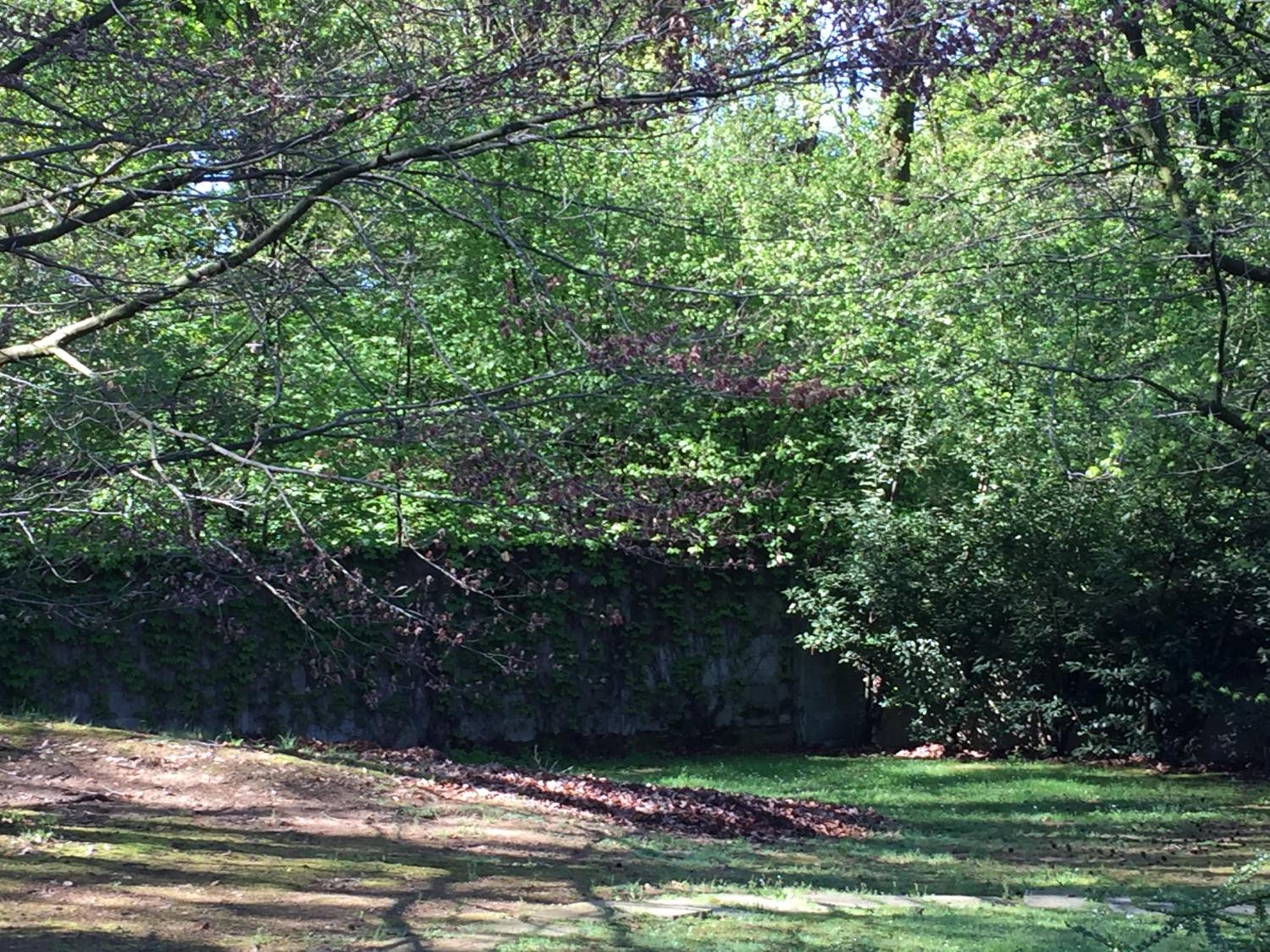 Bed&Garden