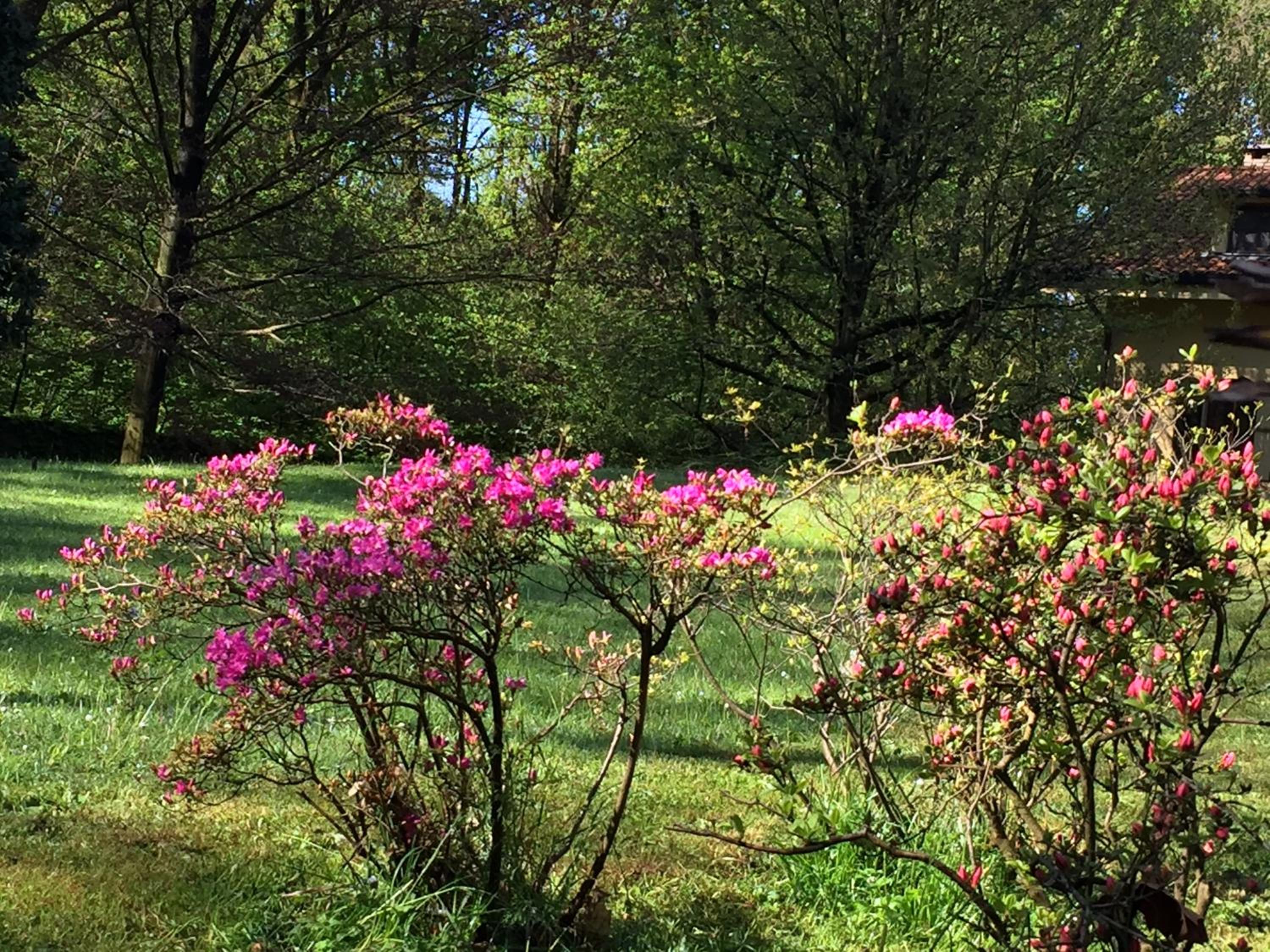 Bed&Garden