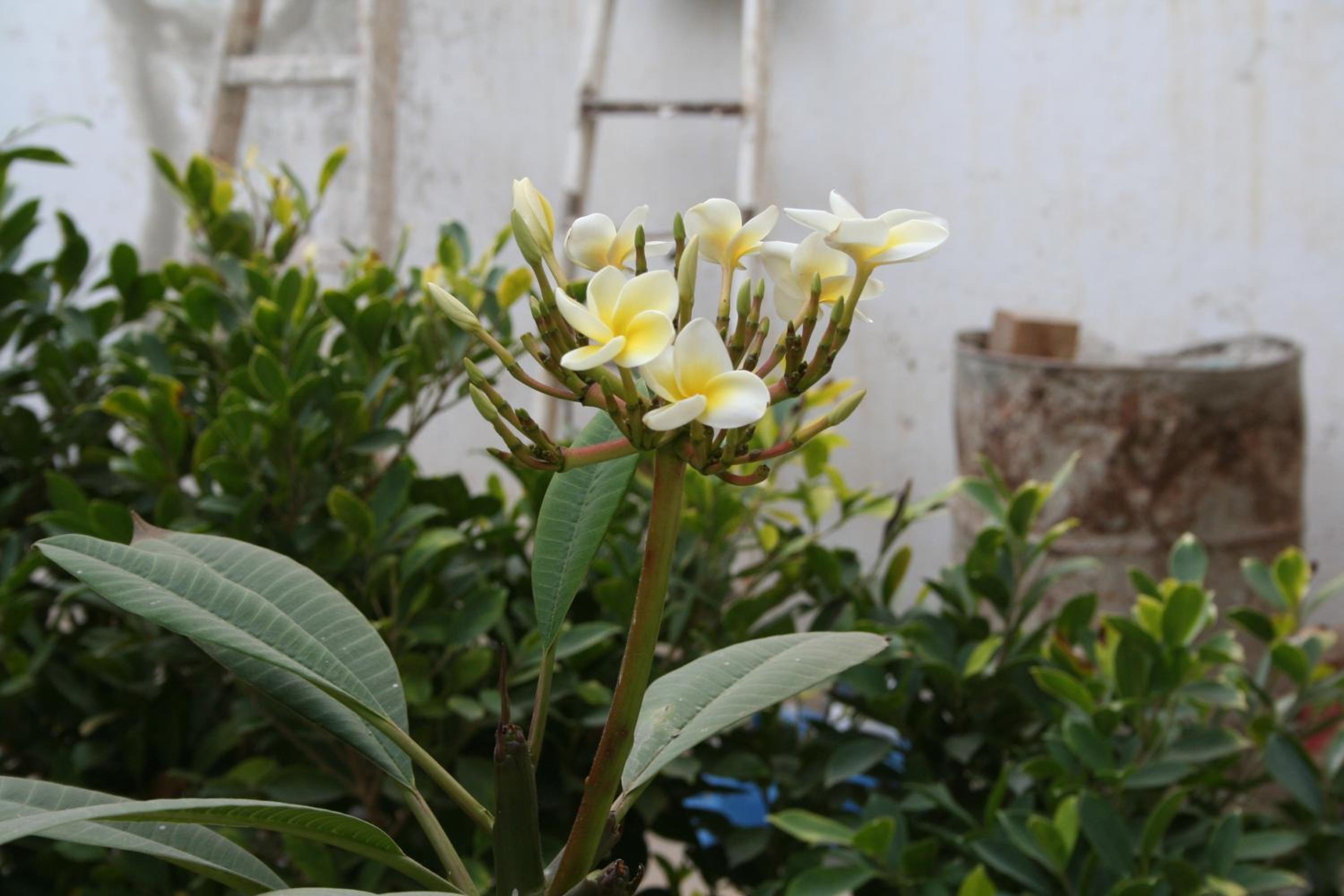 Photo 43