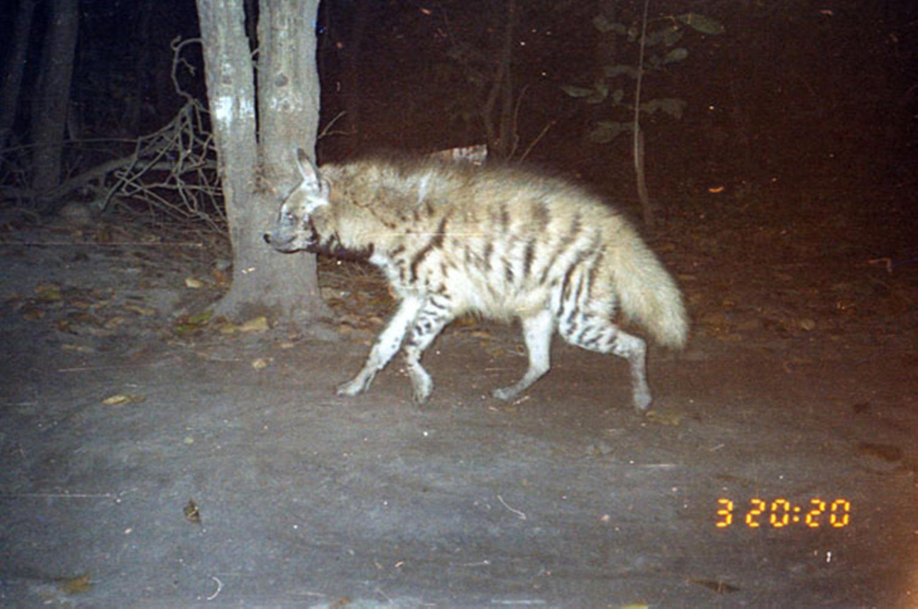 Photo 27