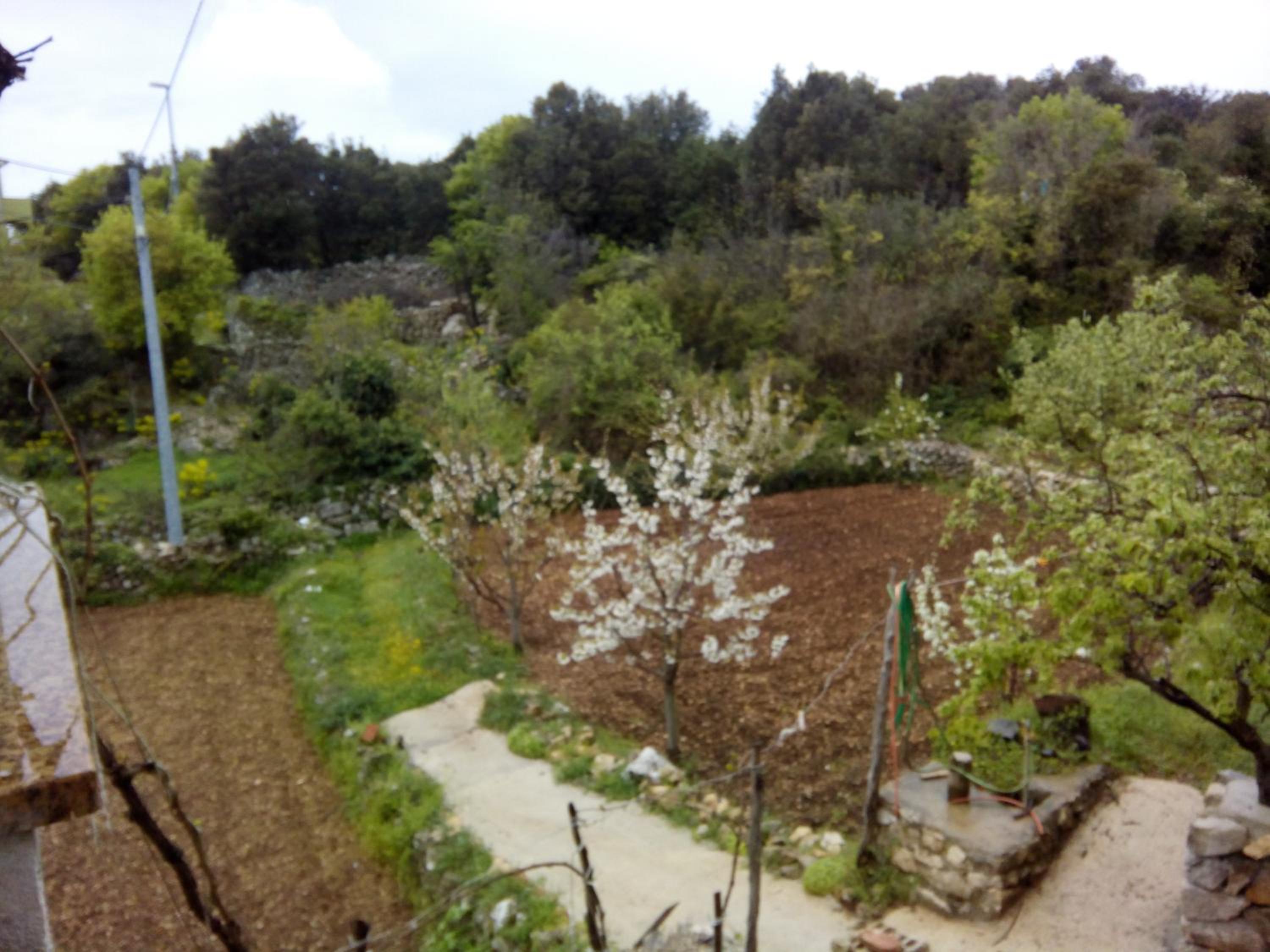 Photo 36