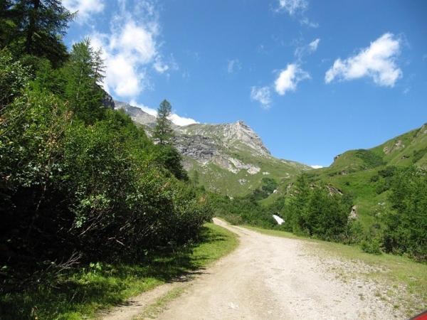 Pension Waldhauser