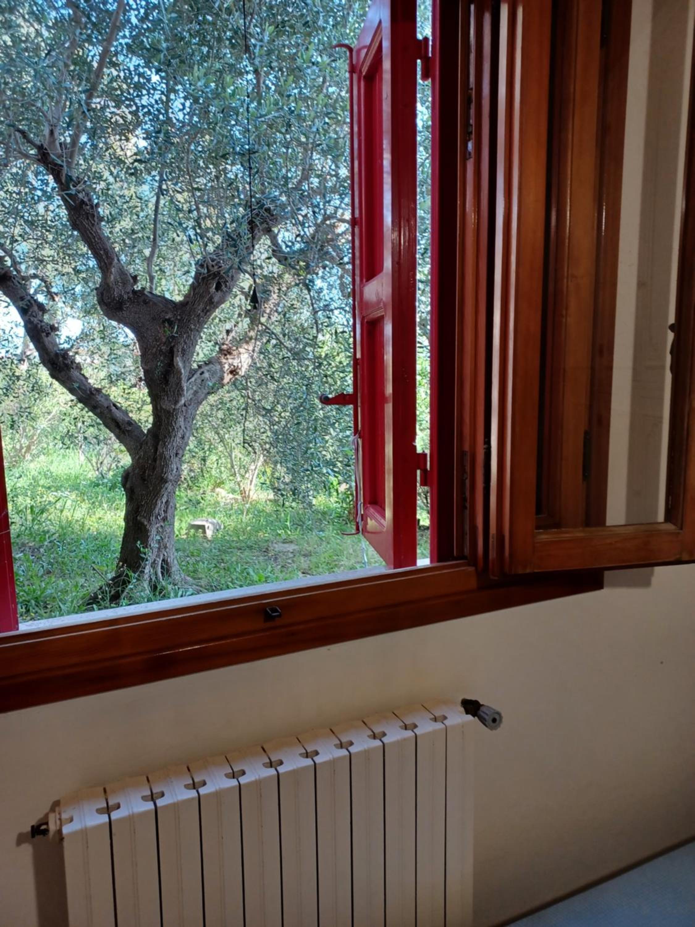 Verde Mare apartment Rosignano Marittimo