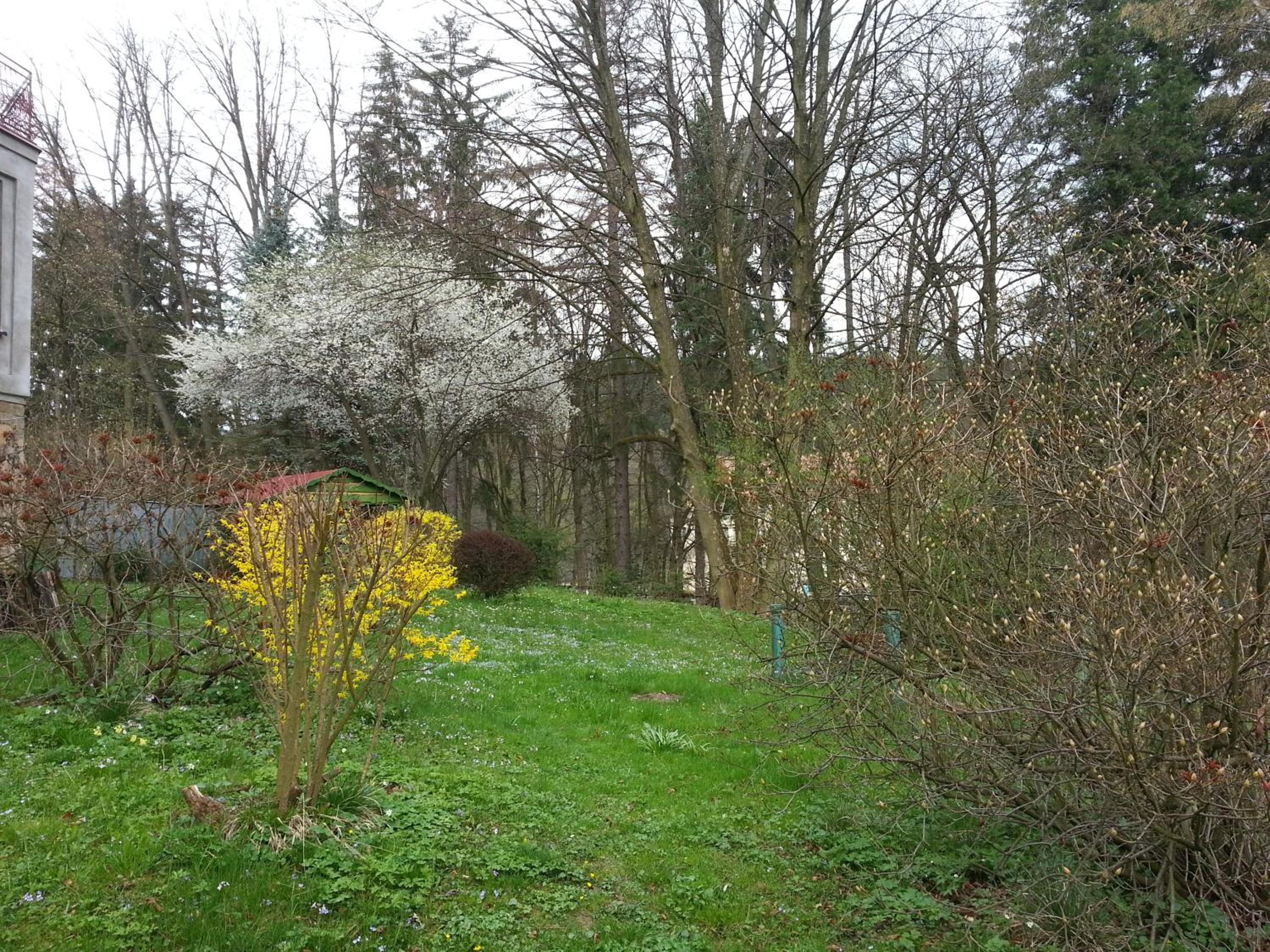 Photo 40