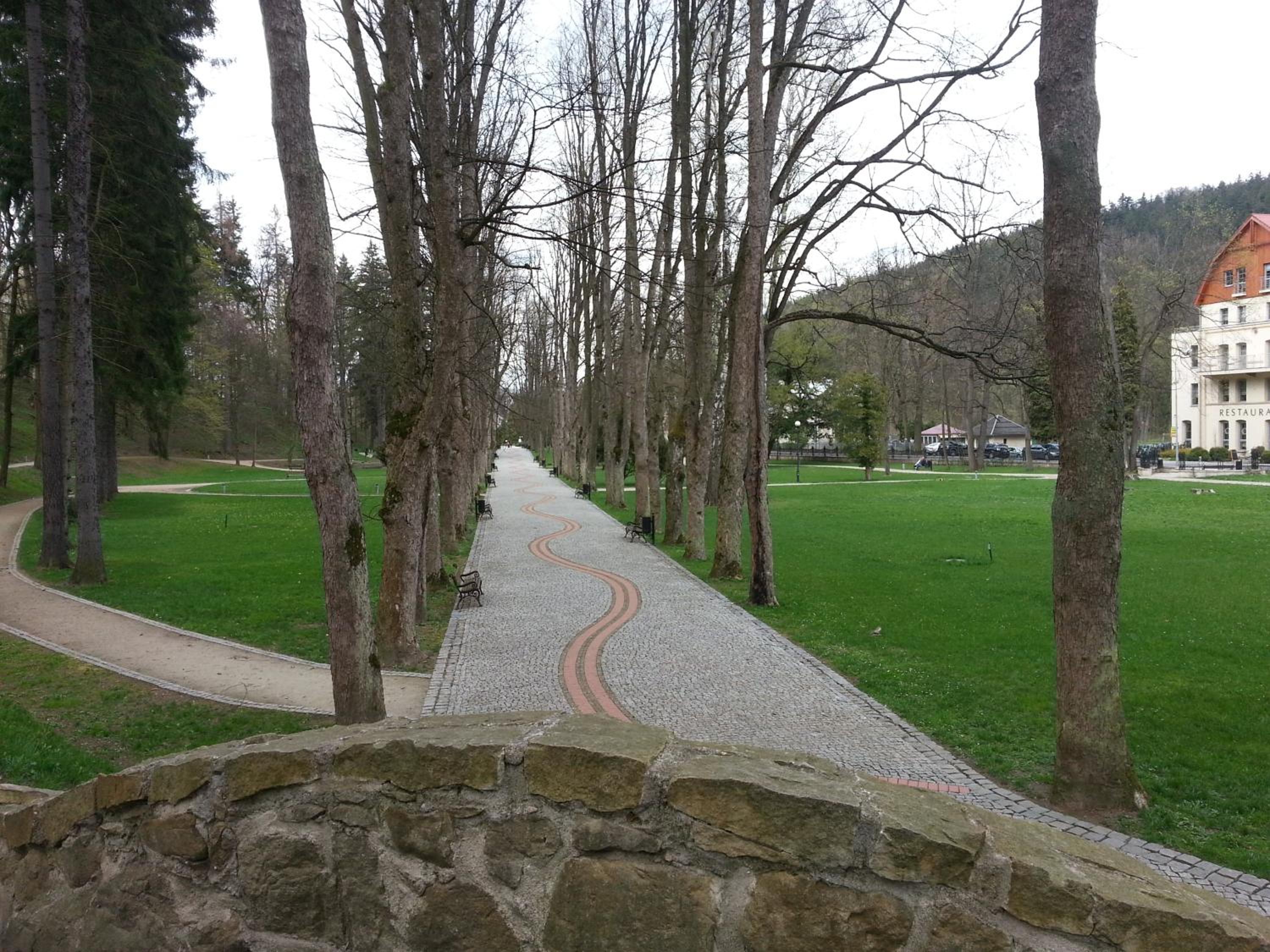Photo 45
