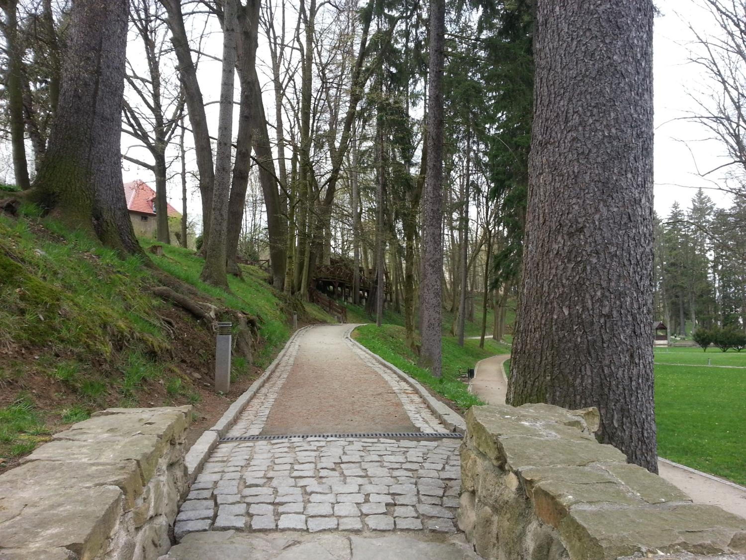 Photo 43